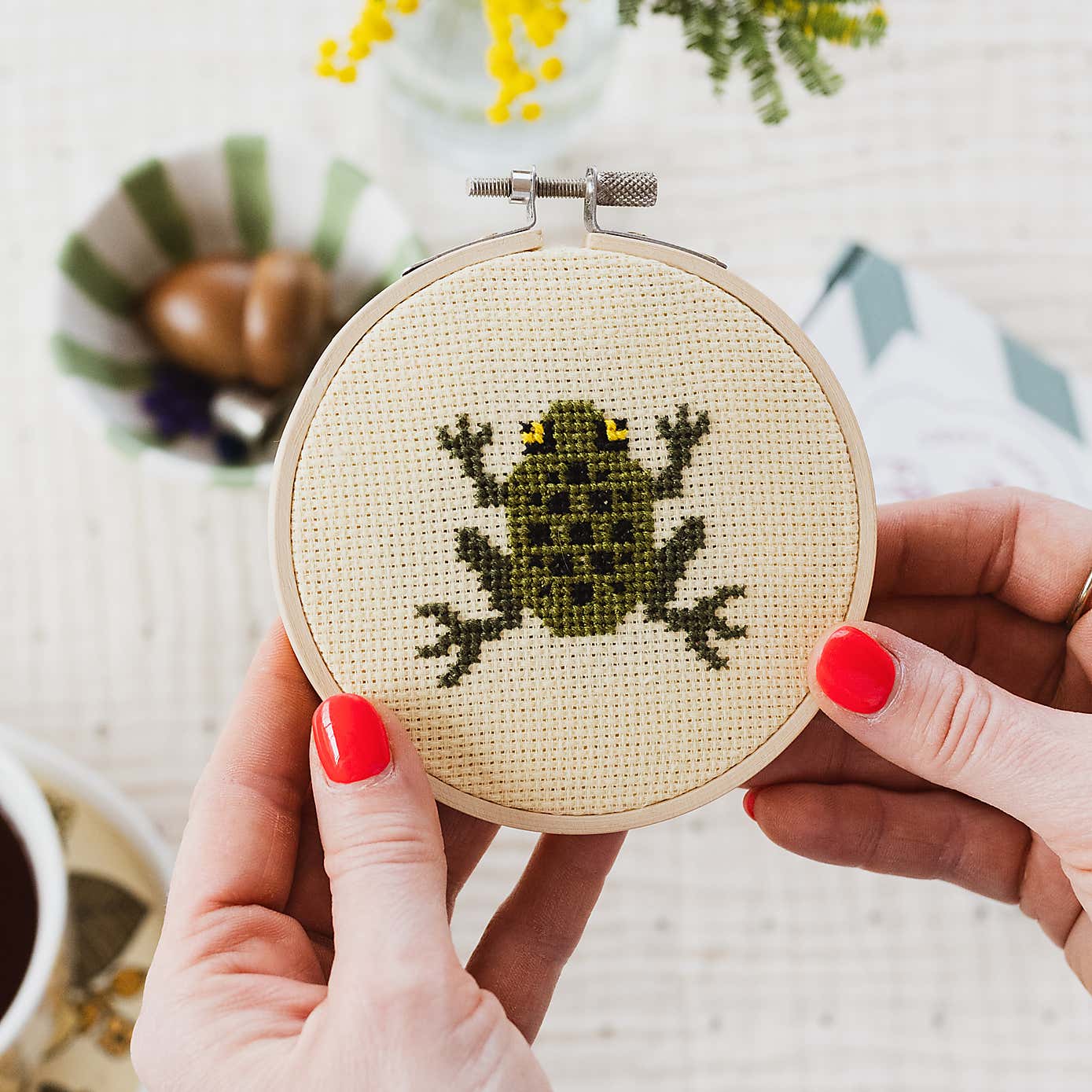 Cotton Clara Frog Cross Stitch Kit