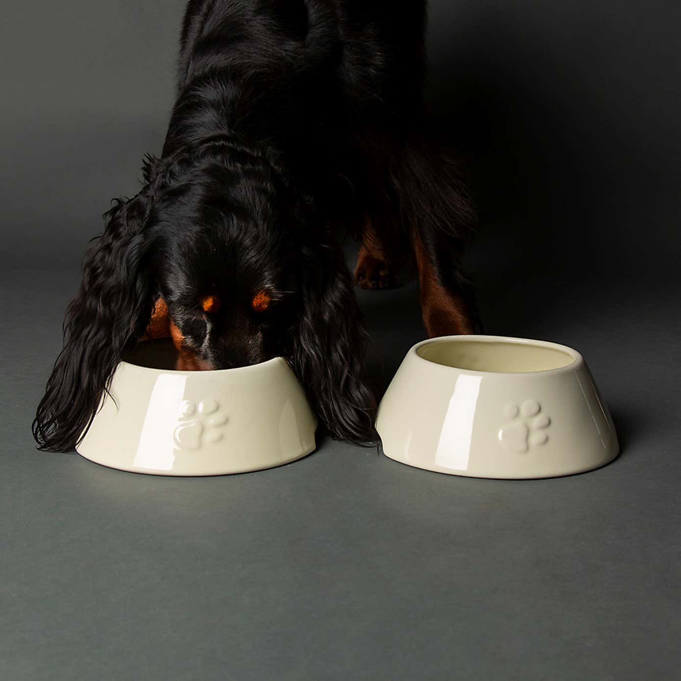 Scruffs Set of 2 Long Eared Dog Bowls