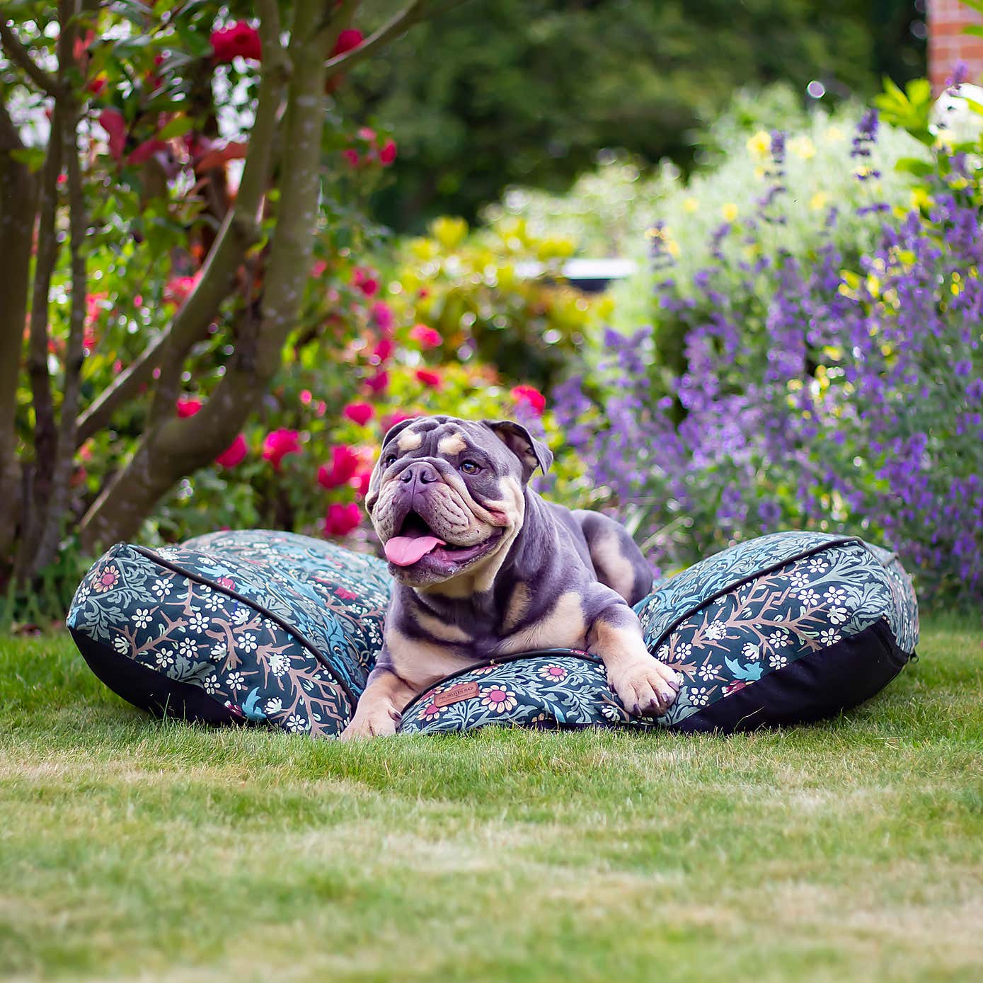 Morris & Co Blackthorn Mattress Pet Bed