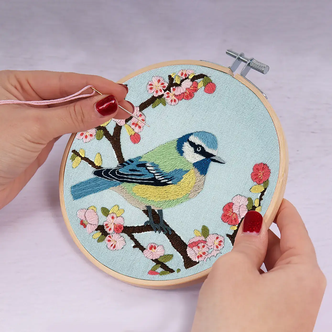 Embroidery Kit Bird Blossom