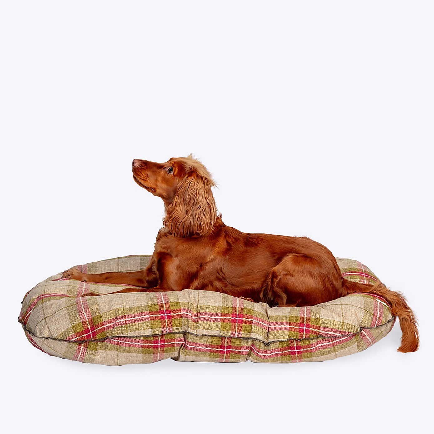 Danish Design Newton Moss Quilted Dog Mattress