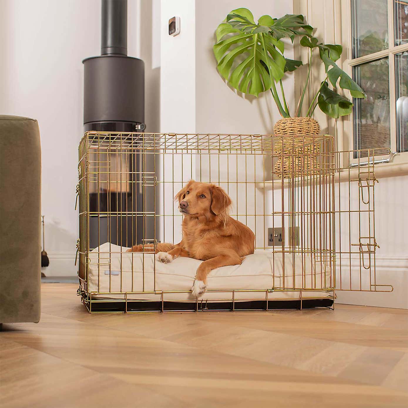 Lords and Labradors Savanna Dog Cushion