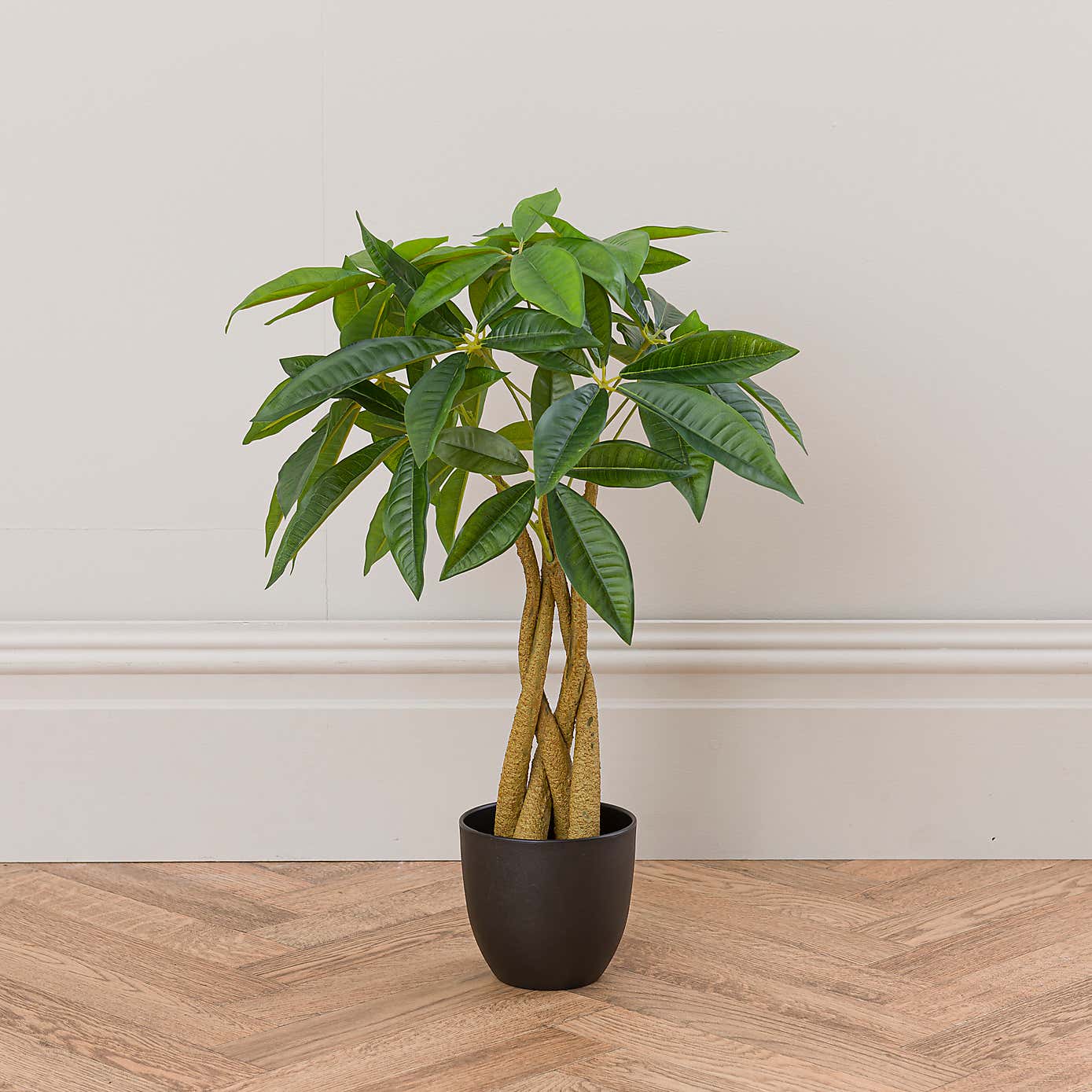 Artificial Money Tree Plant in Black Cement Plant Pot
