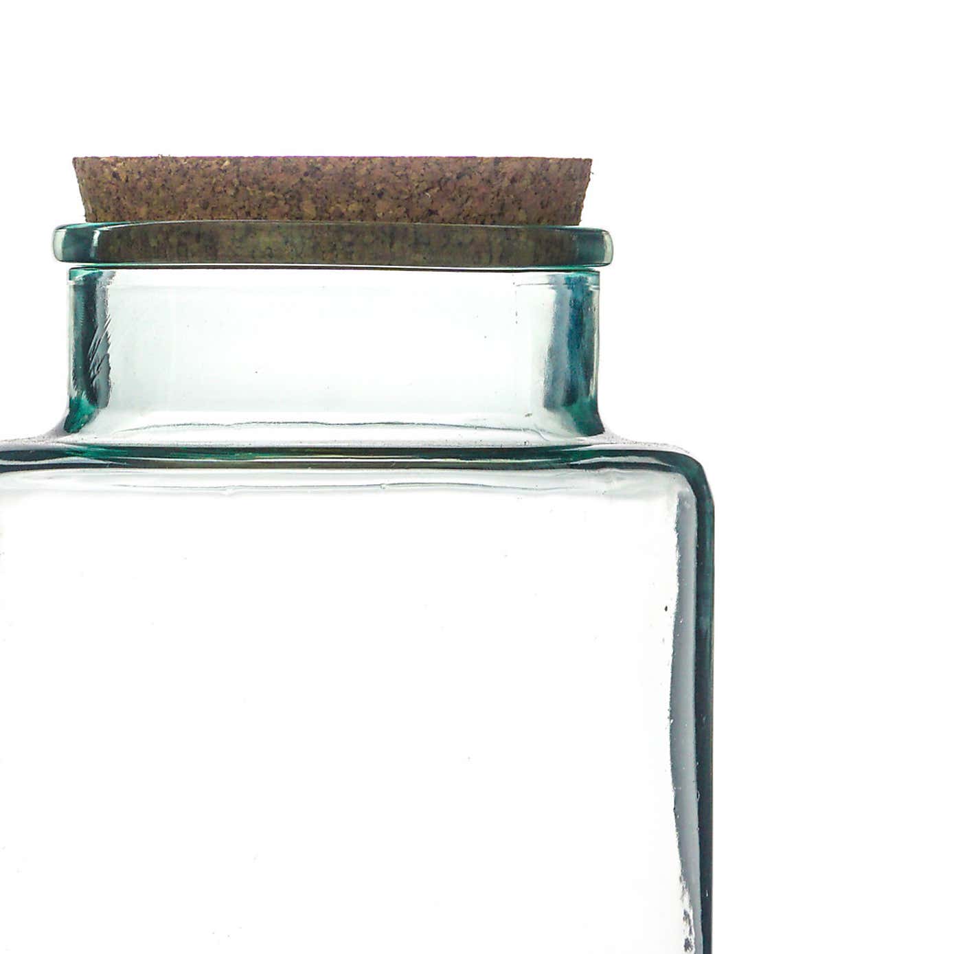 Bottle Shape Large Terrarium DIY Kit