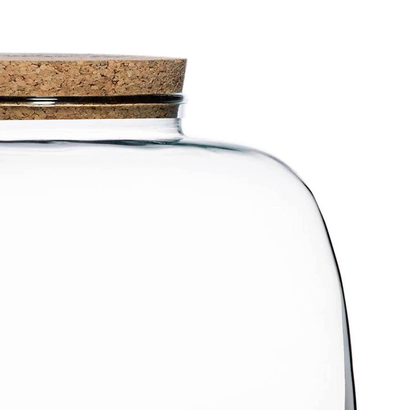 Bowl Shape Large Terrarium DIY Kit