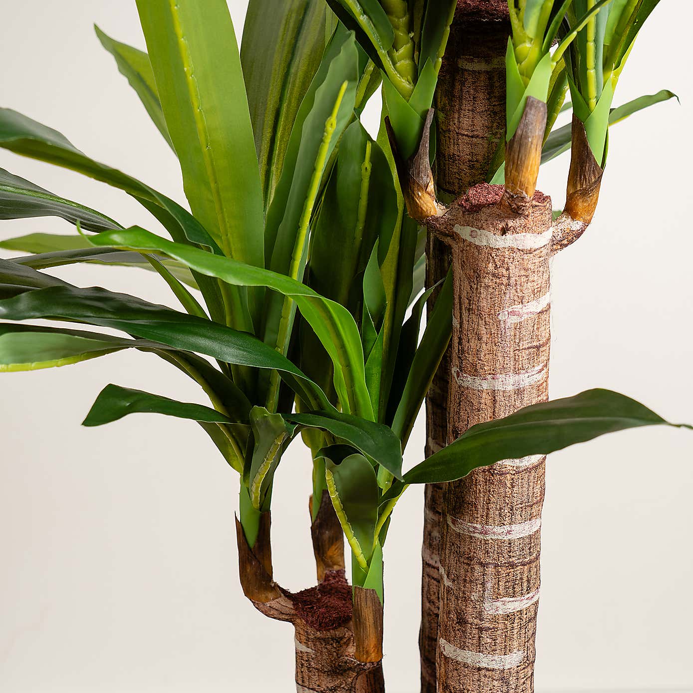 Artificial Triple Stem Yucca Tree in Black Plant Pot