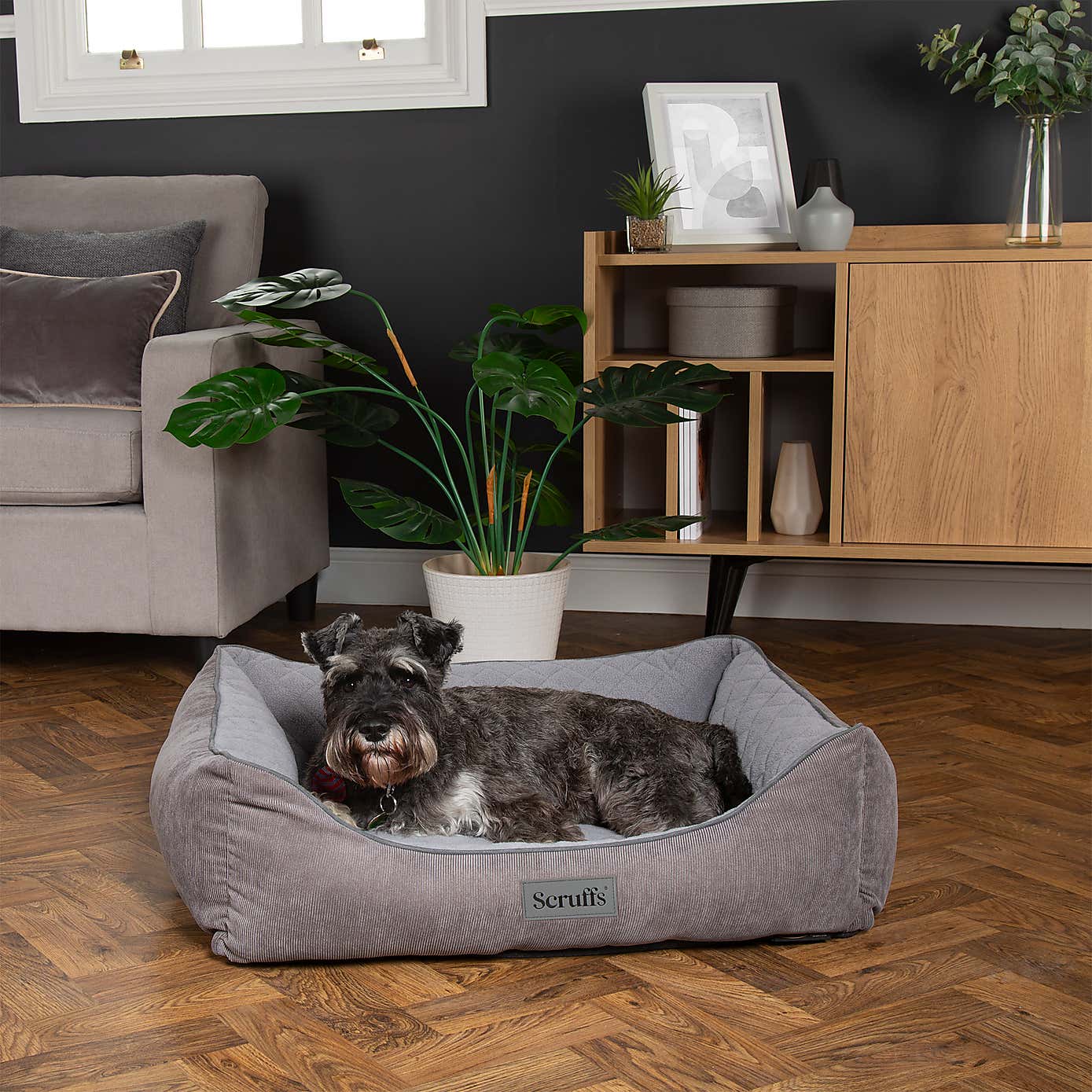 Scruffs Self Heating Thermal Dog Box Bed