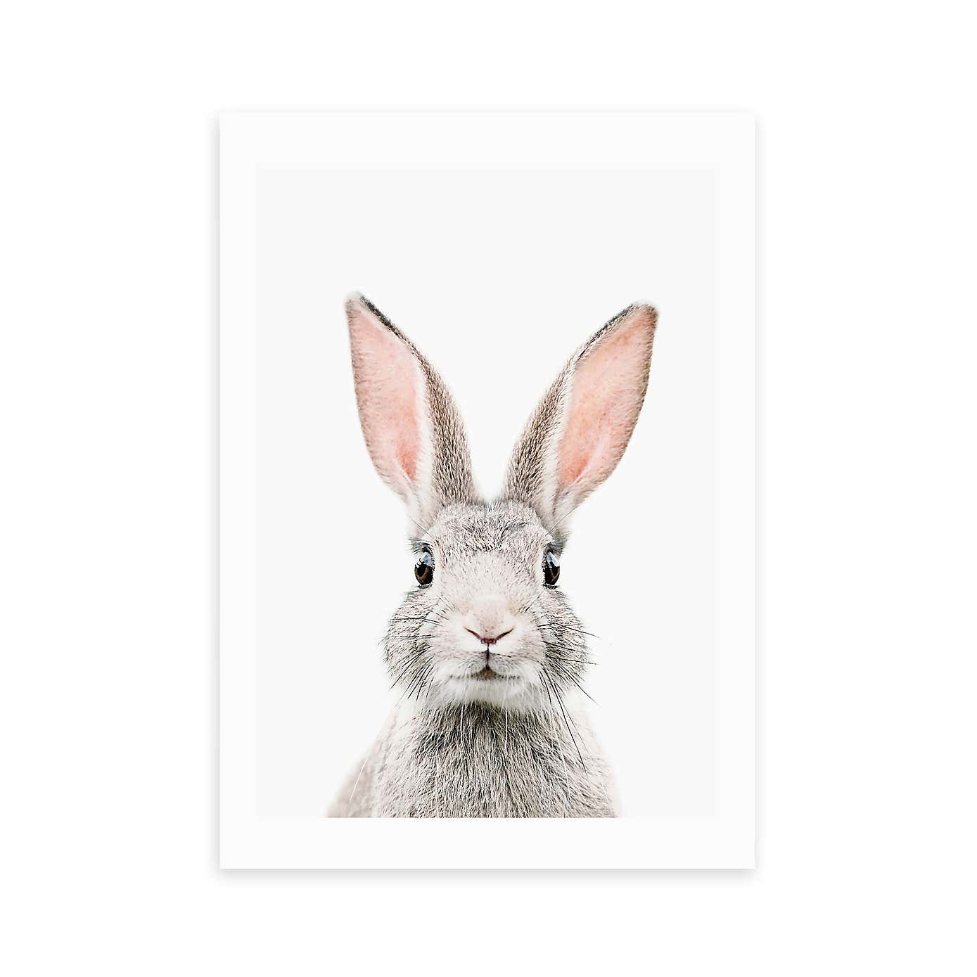East End Prints Baby Bunny Print