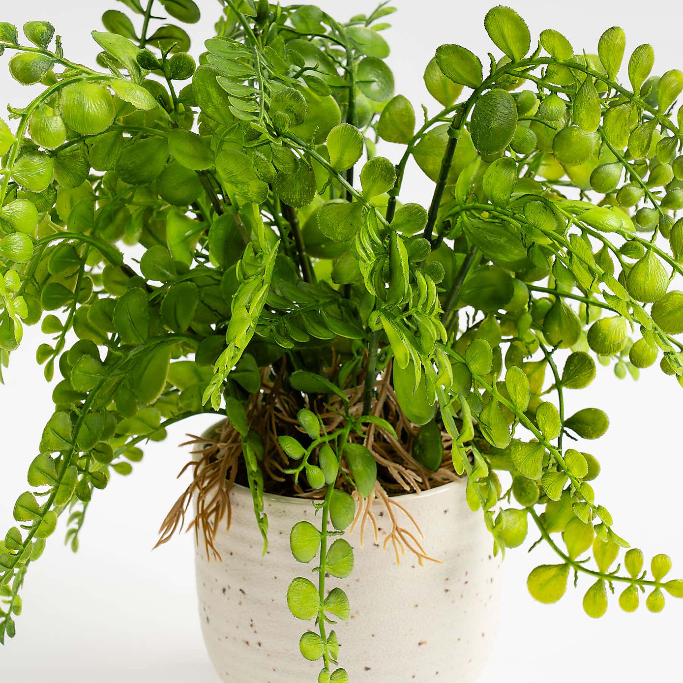 Artificial Fern in Speckled Ceramic Plant Pot