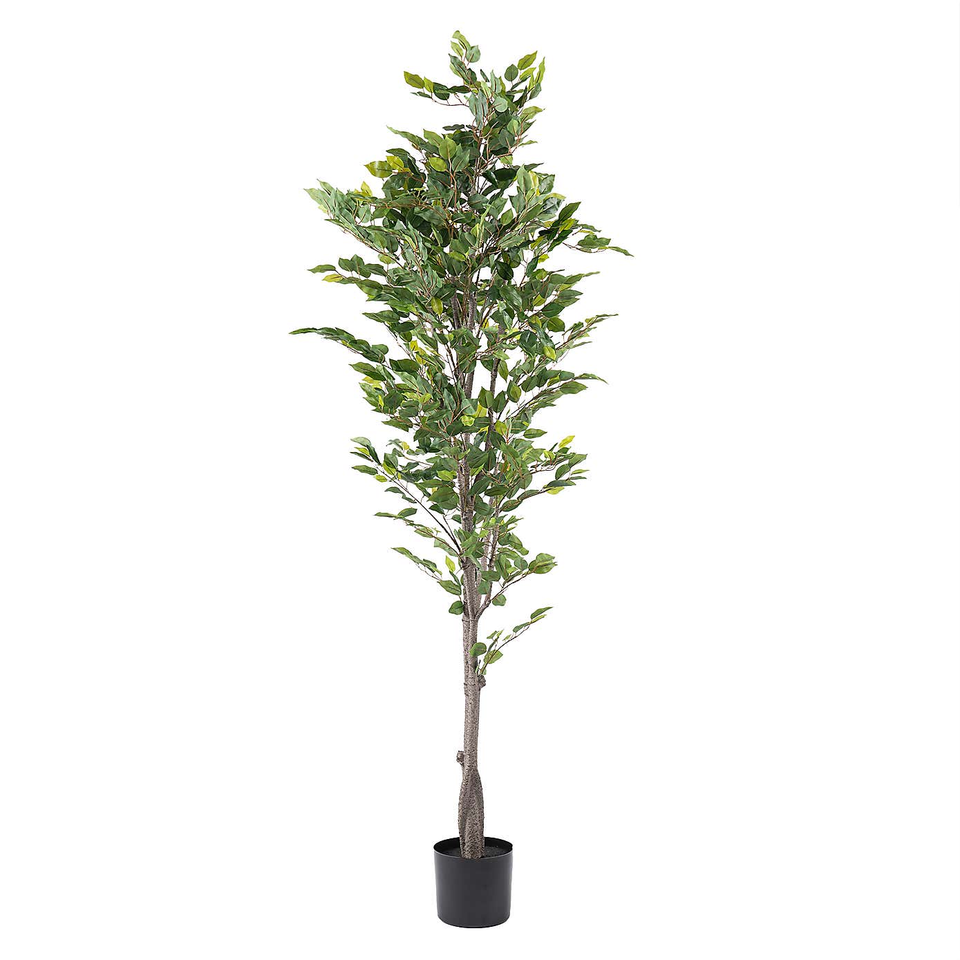Artificial Ficus Tree in Black Plastic Plant Pot