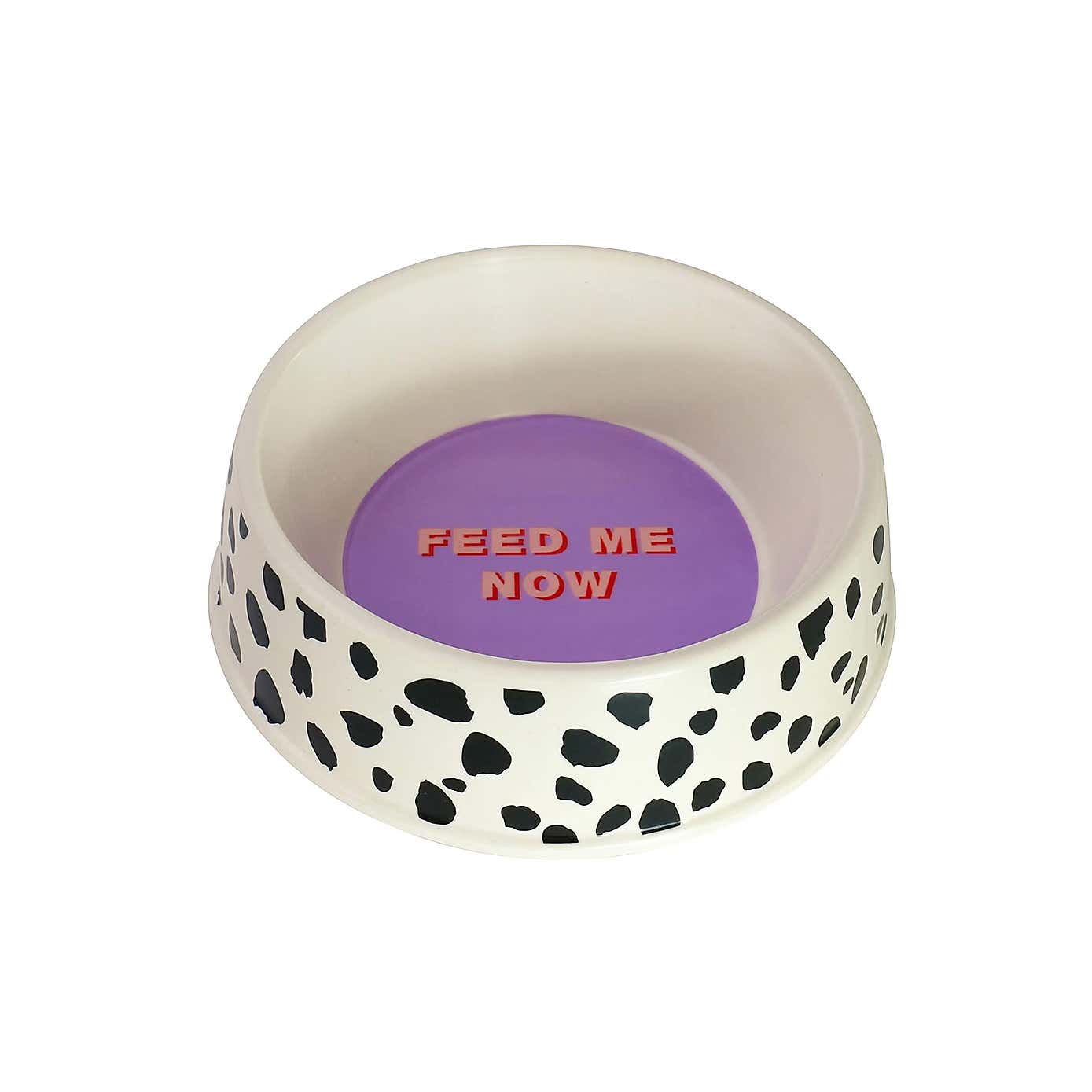 Emily Brooks Bamboo Dog Bowl, Treat Kit and Toucan Toy