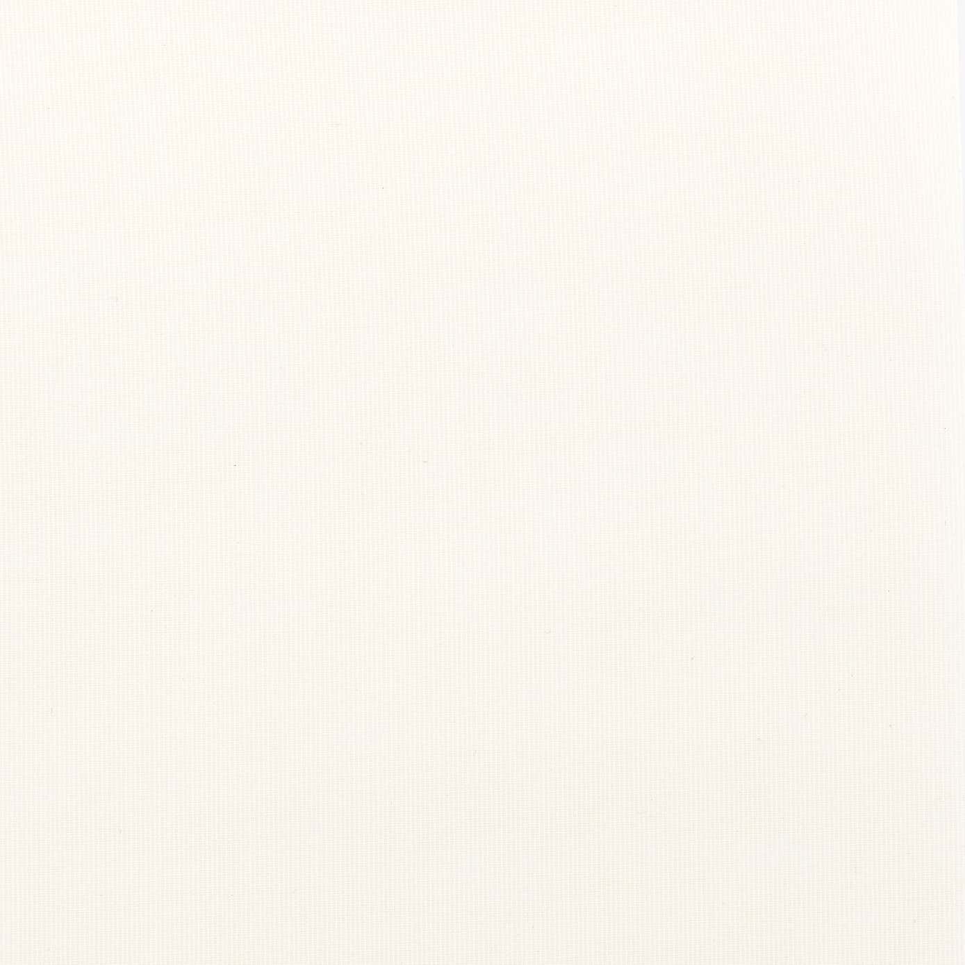 White Sheer Roller Blind