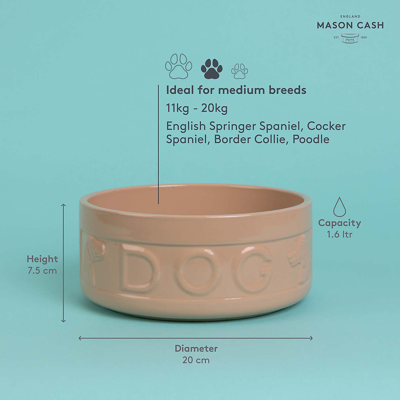 Mason Cash Cane Dog Bowl