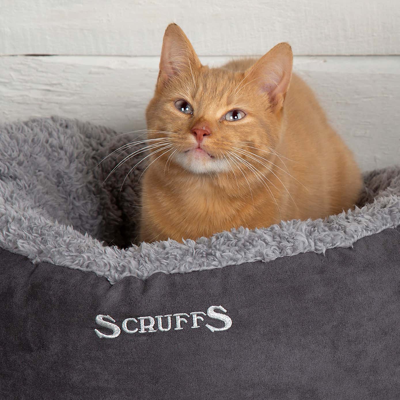 Scruffs Pet Cosy Ring Bed