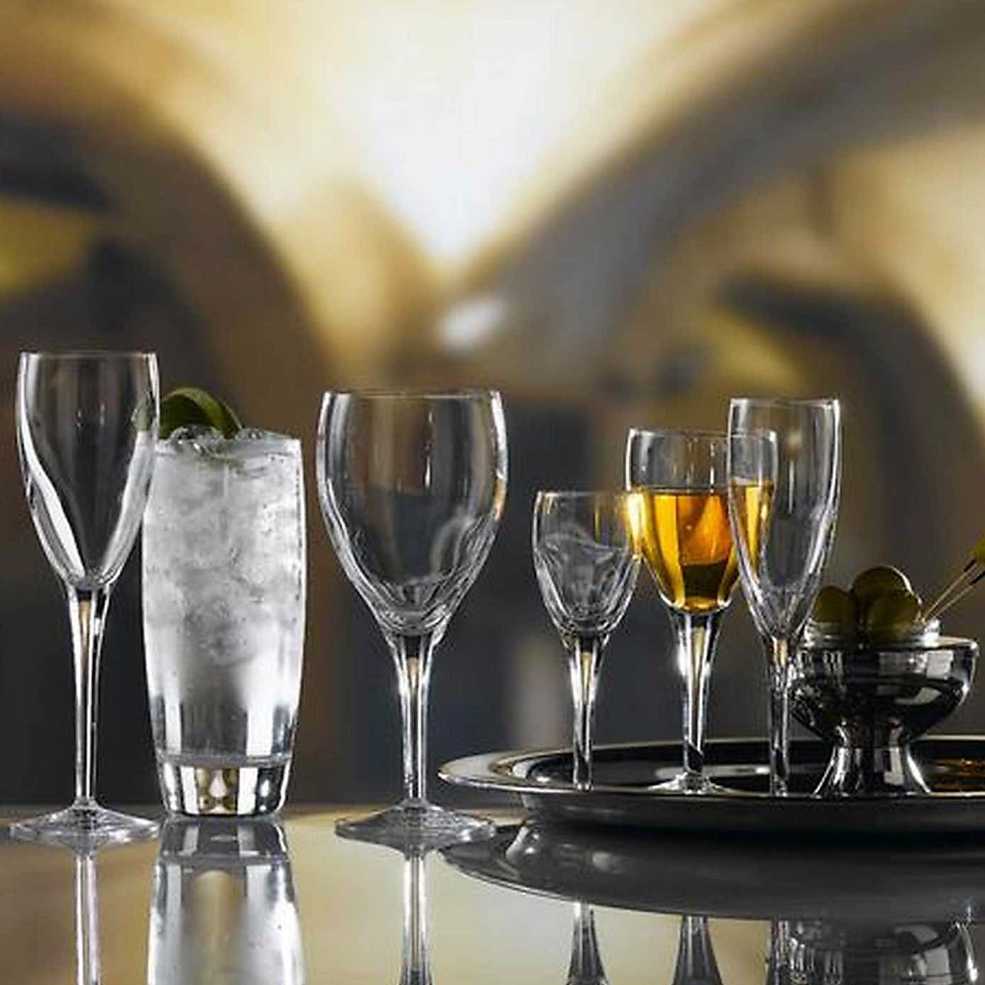 Luigi Bormioli Michelangelo Masterpiece Set of 4 Highball Glasses