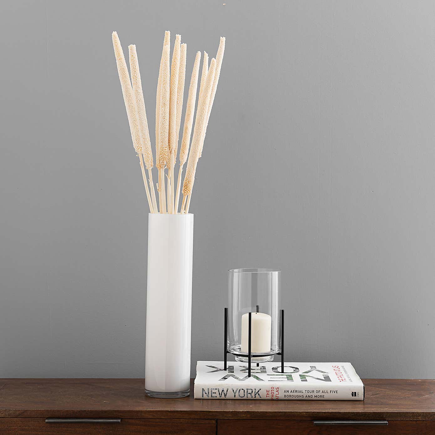 10 Dried Babala Stems Bleached Bundle