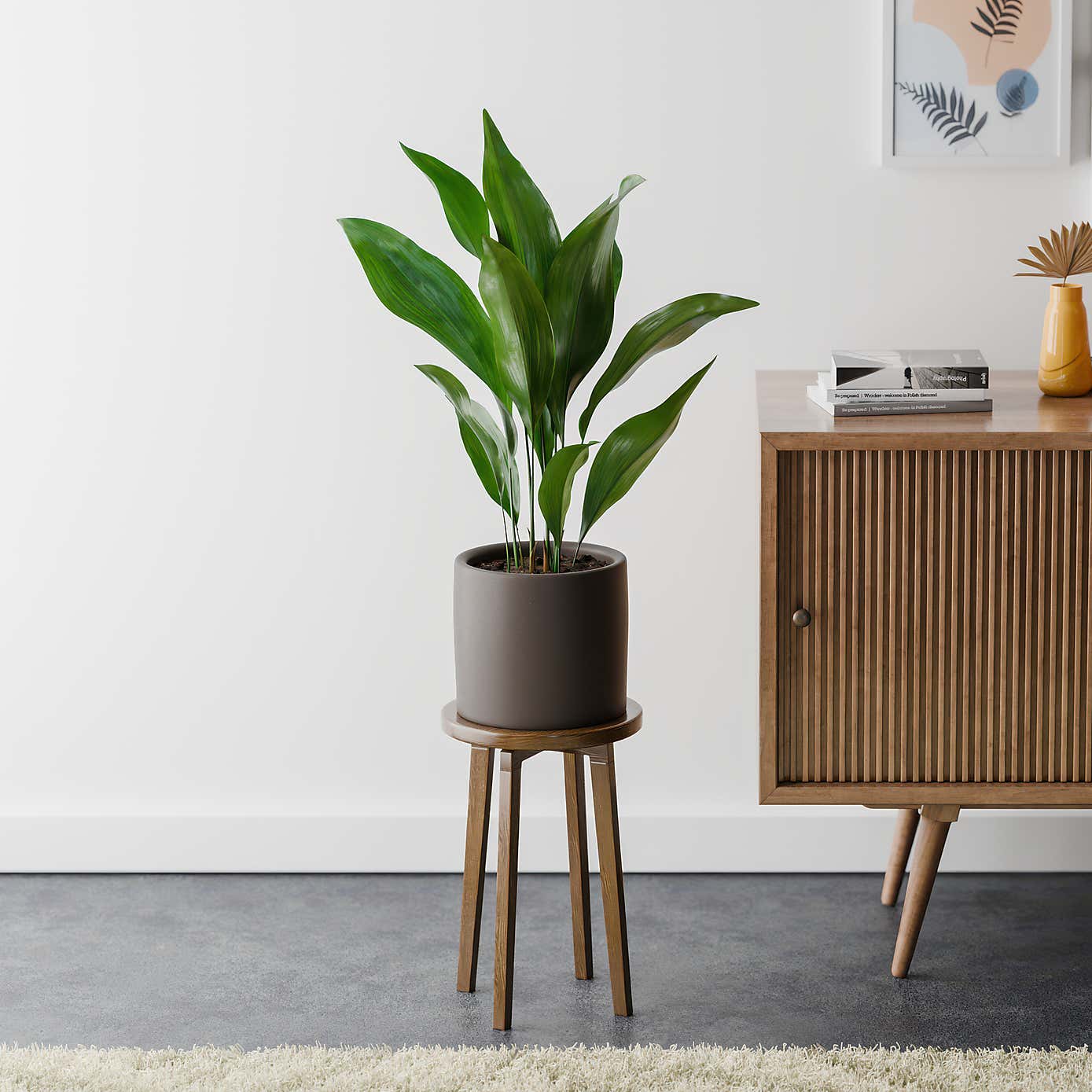 Beards & Daisies Cast Iron House Plant in Earthenware Pot