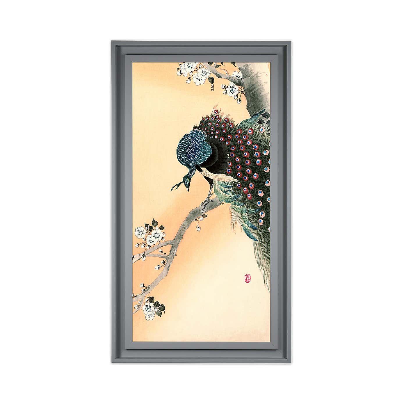 The Art Group Peacock Framed Print