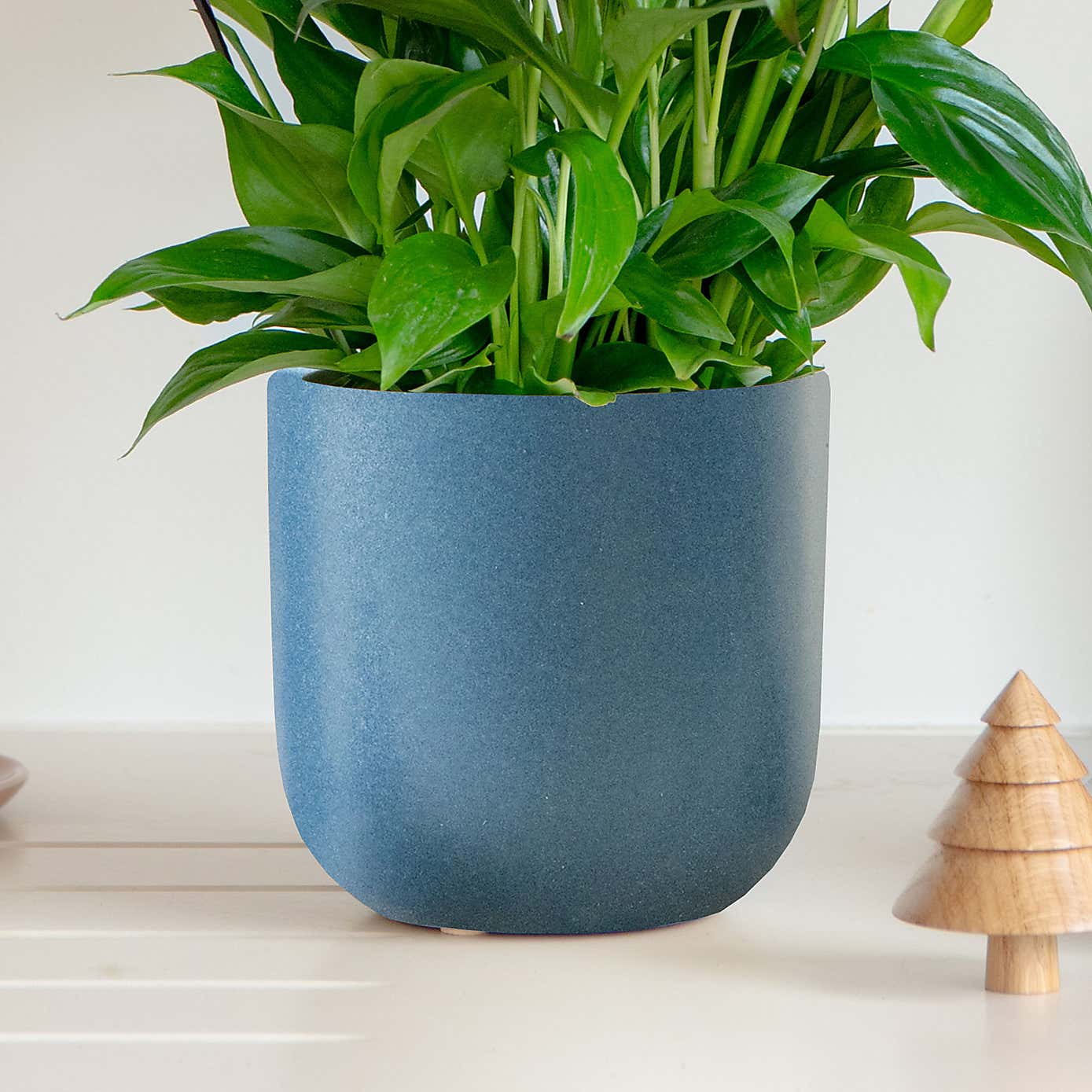 Lilac Peace Lily House Plant in Earthenware Pot