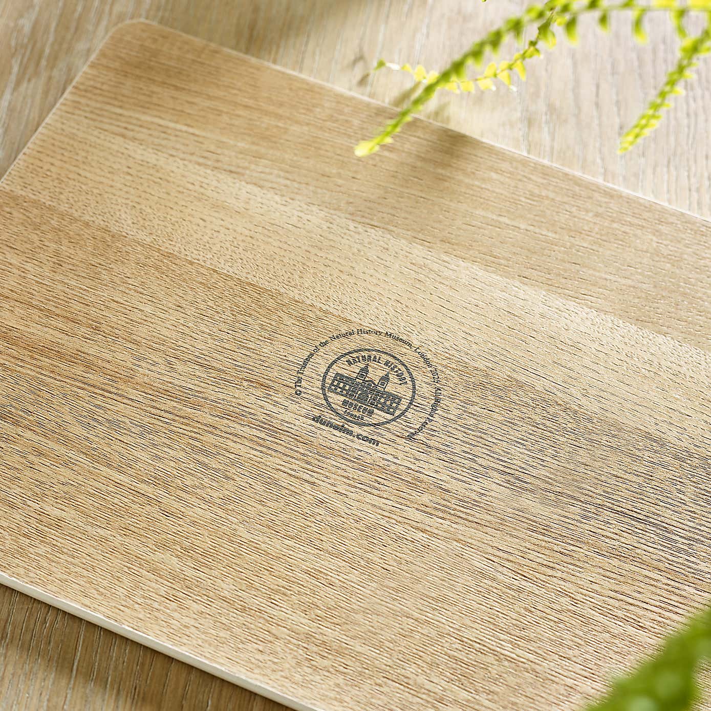 Set of 4 Birds Placemats