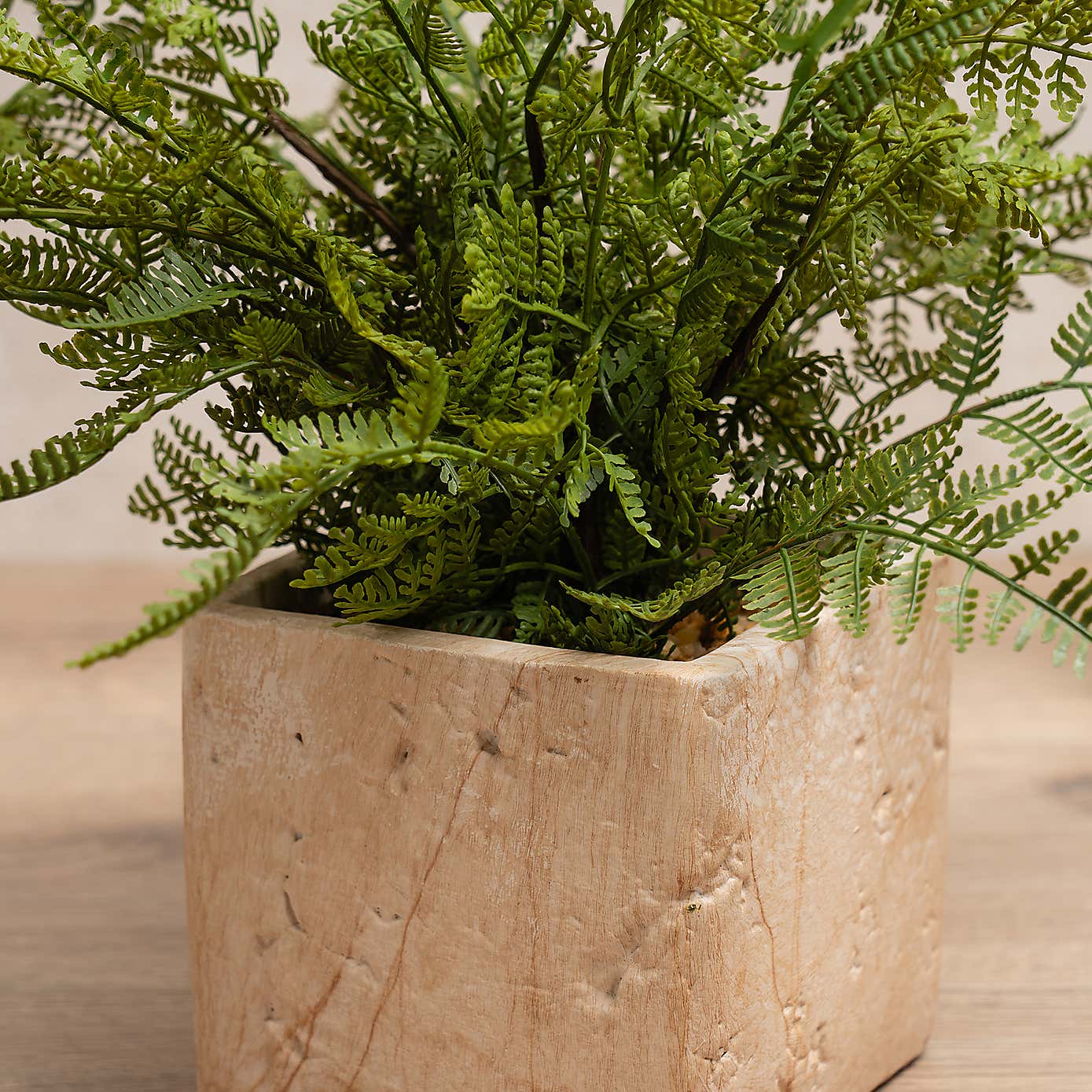 Artificial Fern in Cement Pot