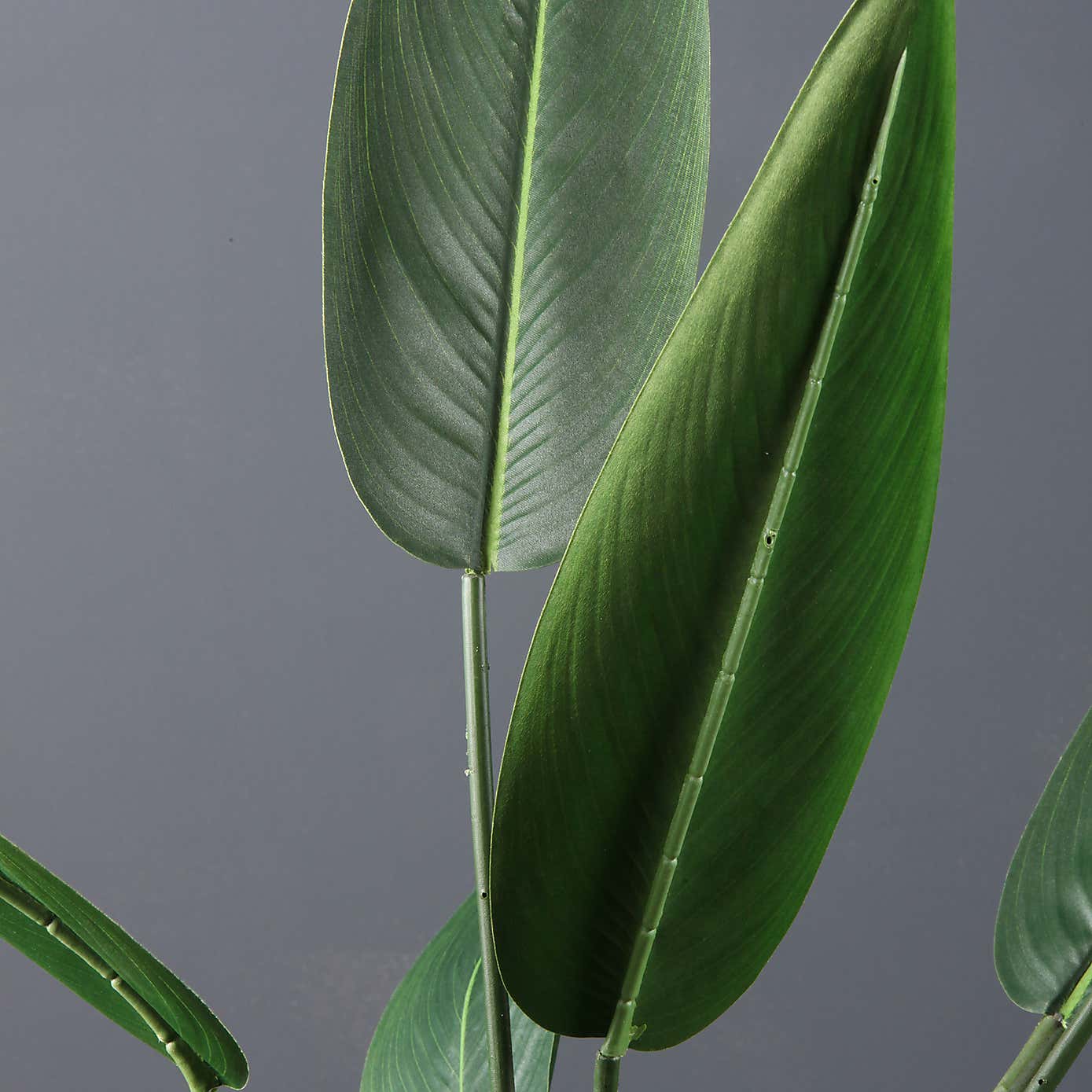 Artificial Real Touch Bird of Paradise Plant in Black Plant Pot