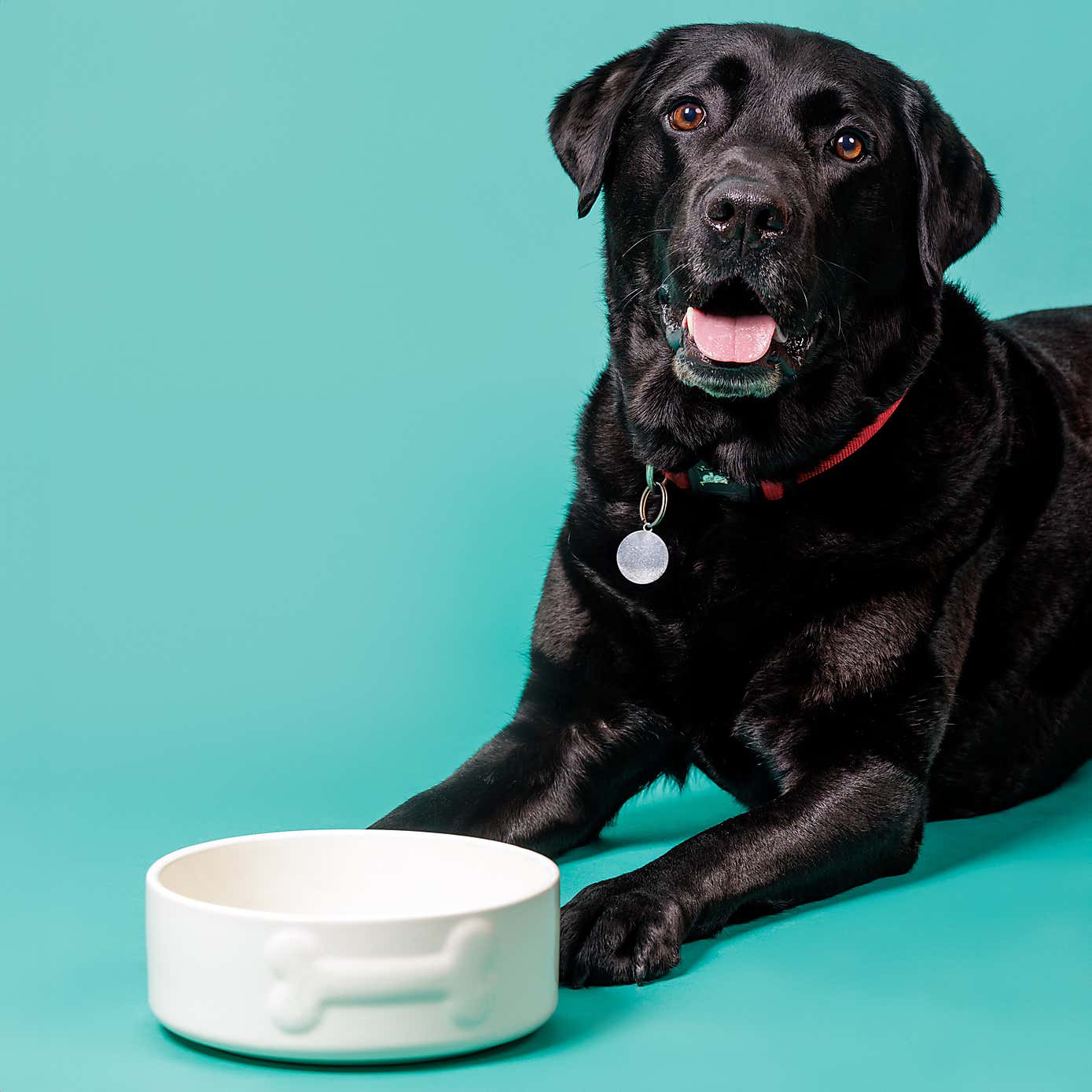 Mason Cash Set of 2 Bone Dog Bowls