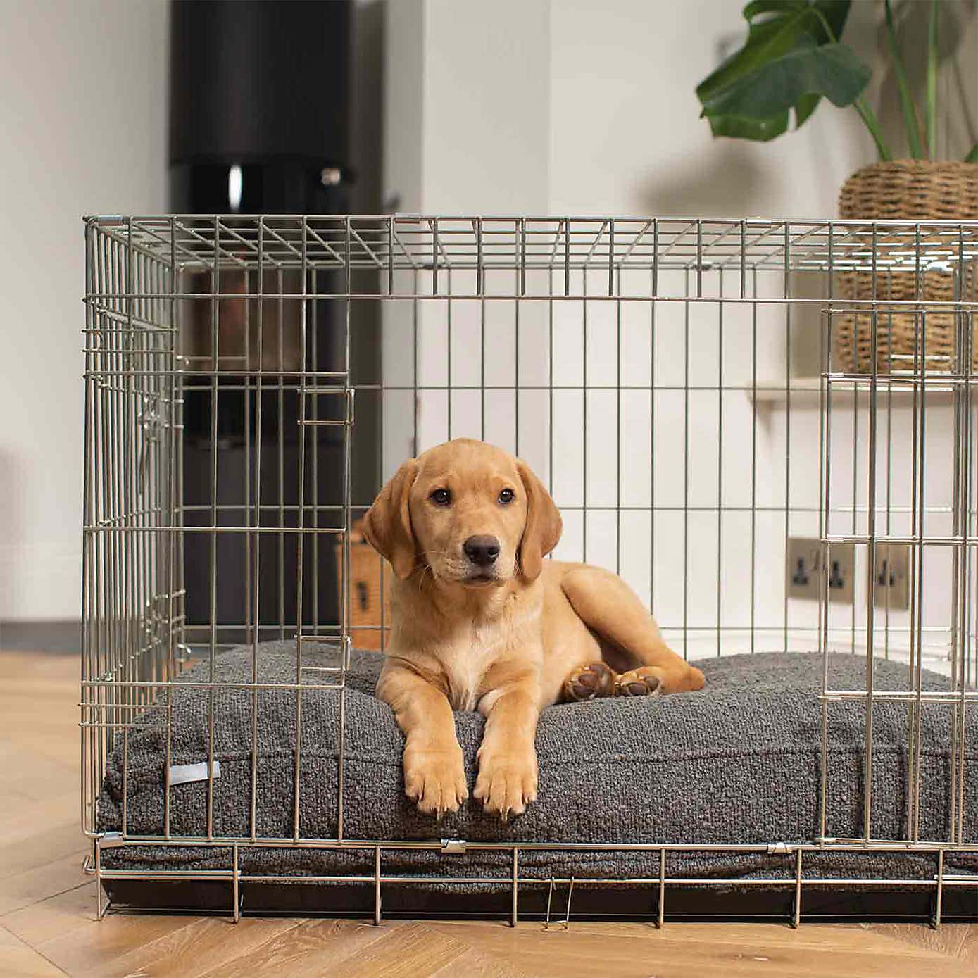 Lords and Labradors Boucle Dog Cushion