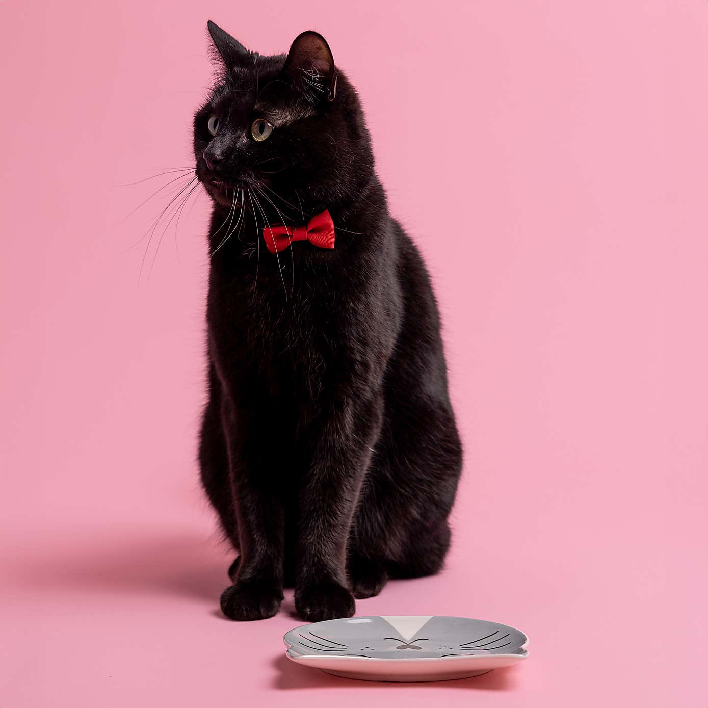 Mason Cash Smokey the Cat Saucer