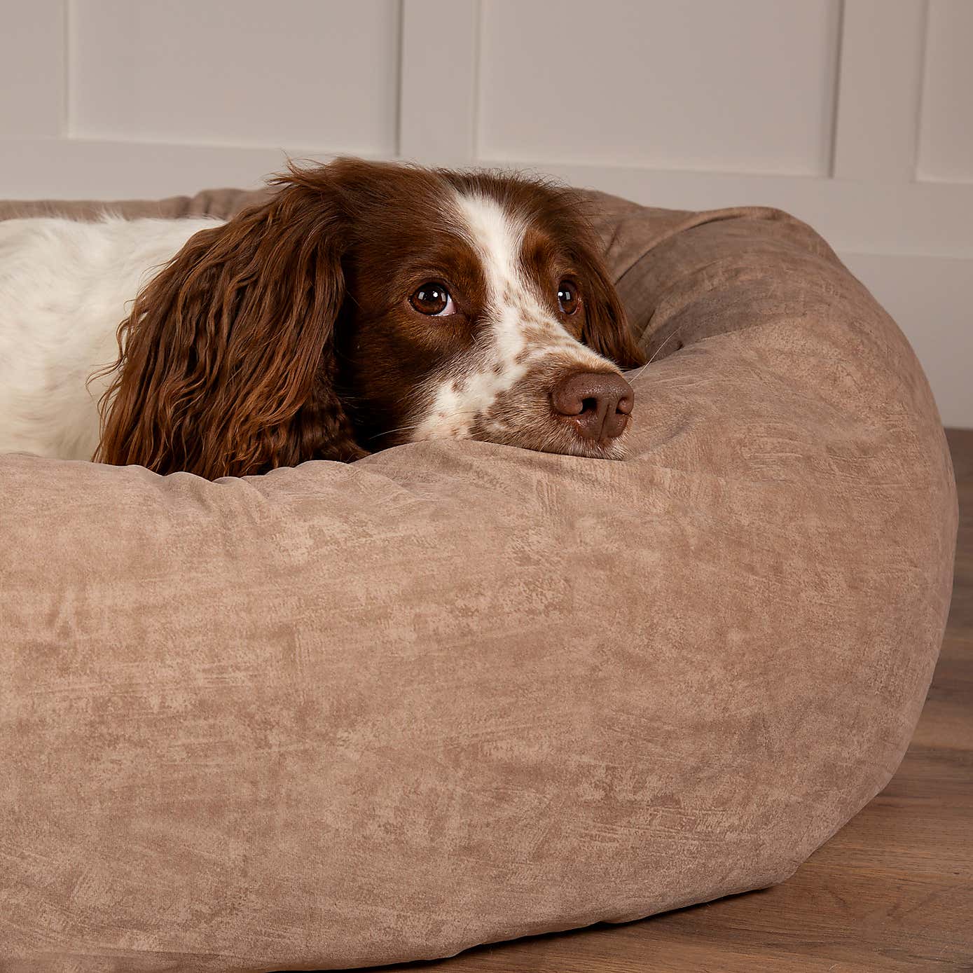 Scruff Oslo Donut Dog Bed