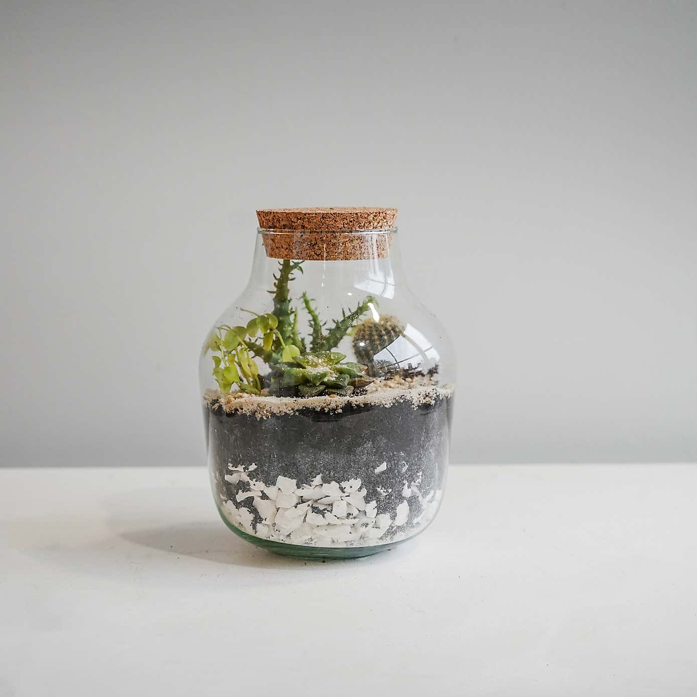 Angular Glass Small Terrarium Diy Kit