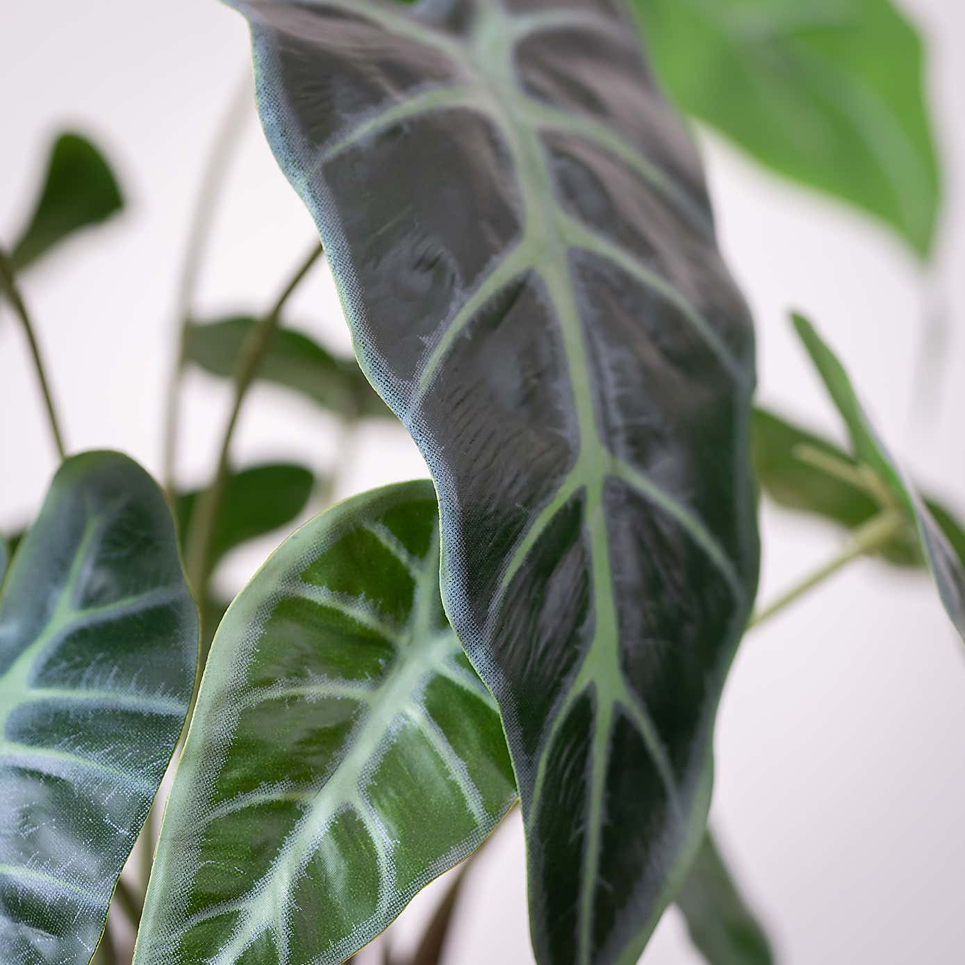 Artificial Real Touch Caladium in Black Plastic Plant Pot