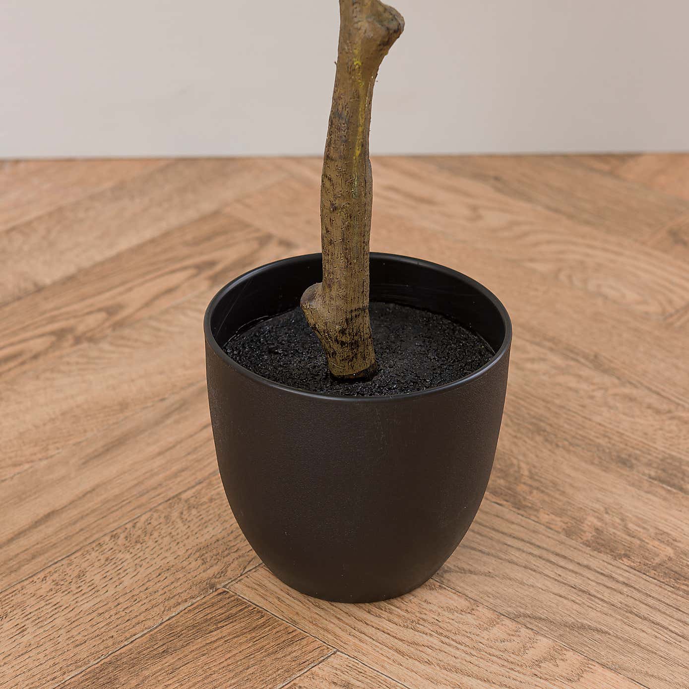 Artificial Ficus Tree in Black Cement Plant Pot