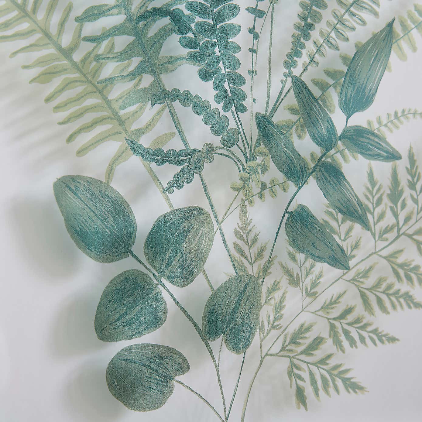 Set of 2 Fern Framed Prints