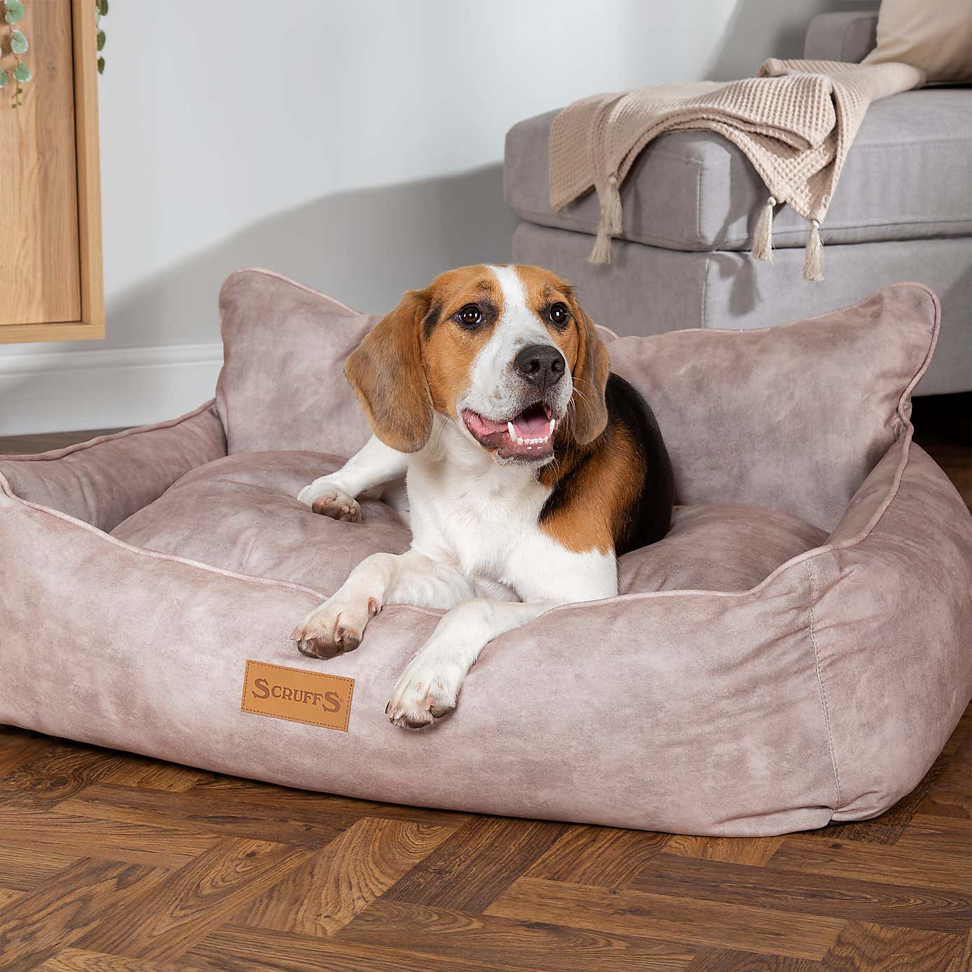 Scruffs Pet Kensington Box Bed