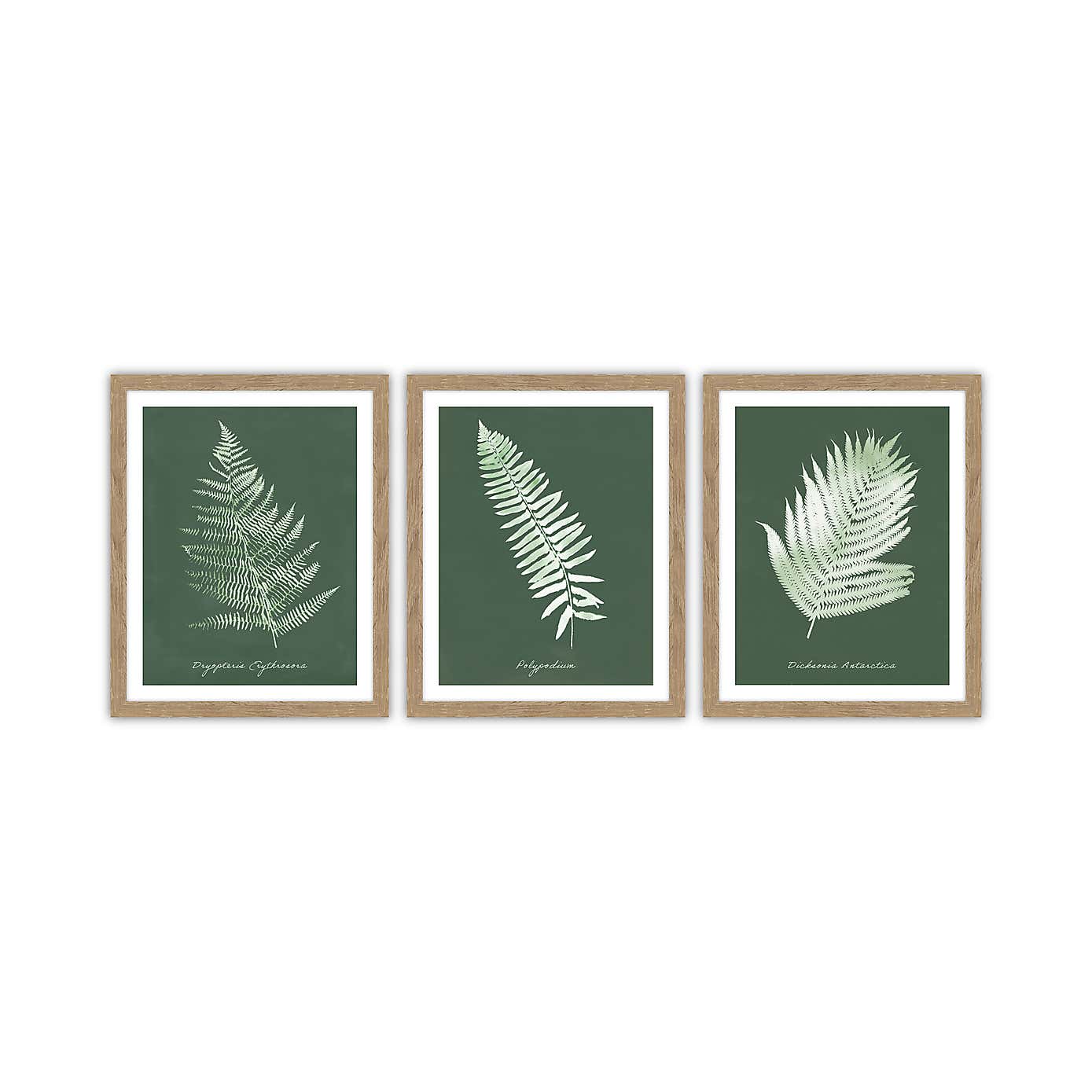 Set of 3 Nature By The Lake Framed Prints