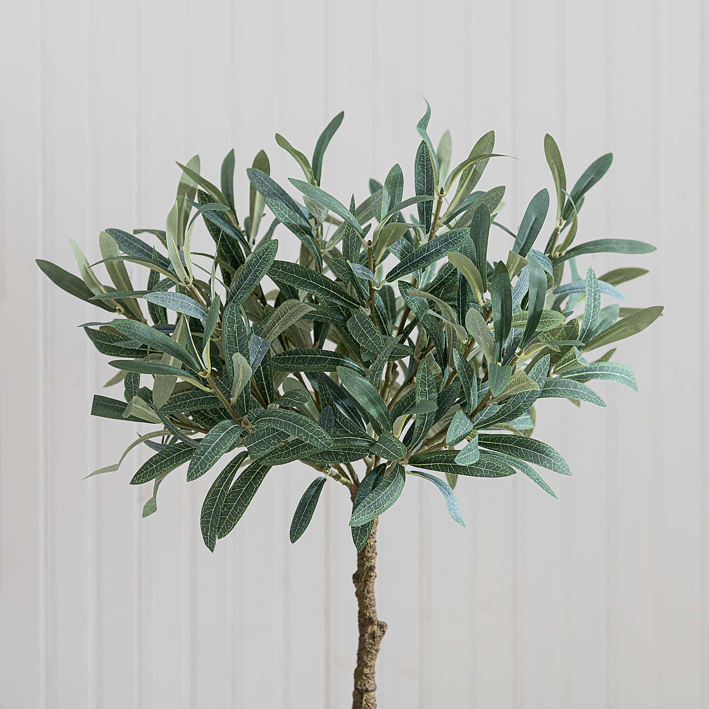Artificial Small Olive Tree in Black Plant Pot