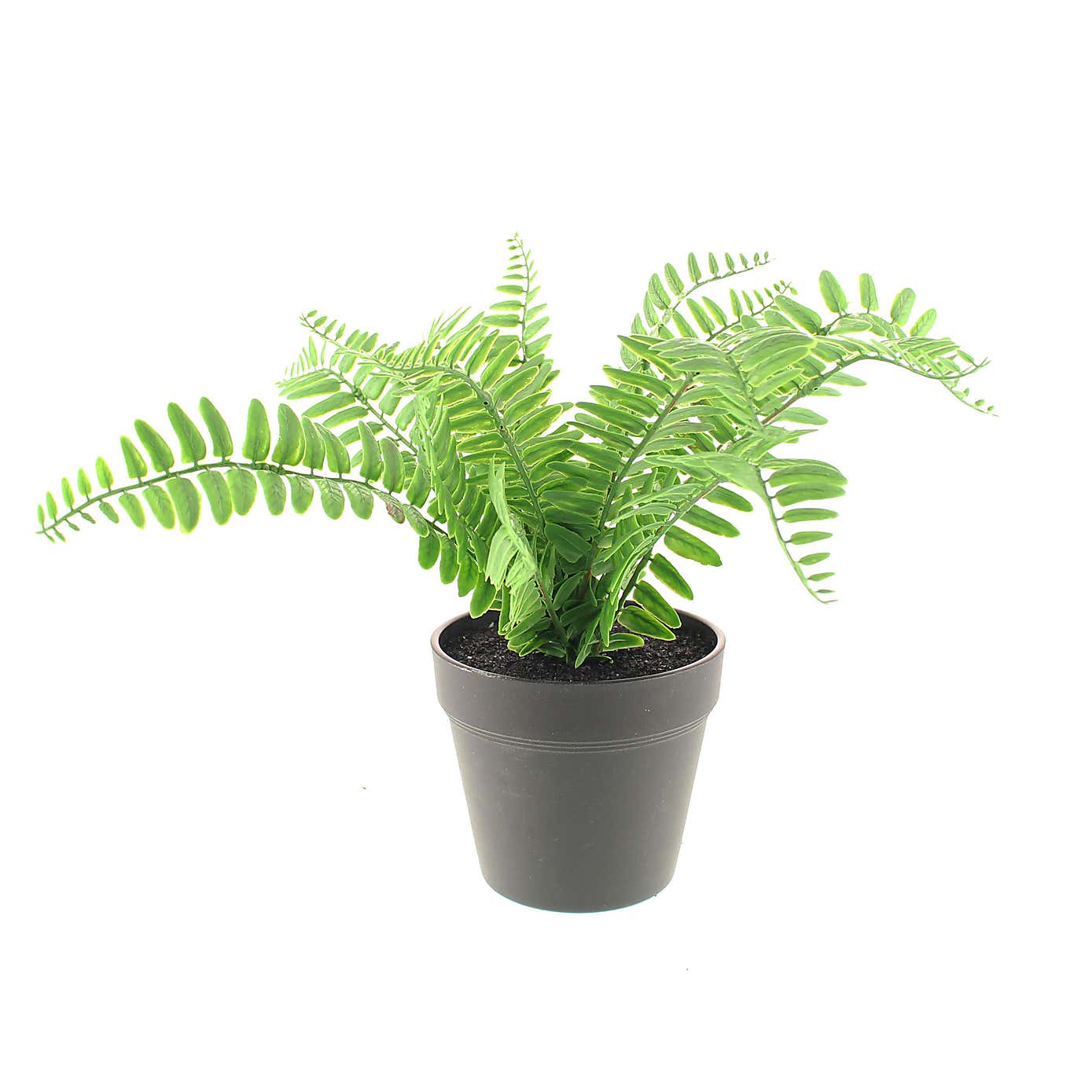 Artificial Fern in Black Plant Pot