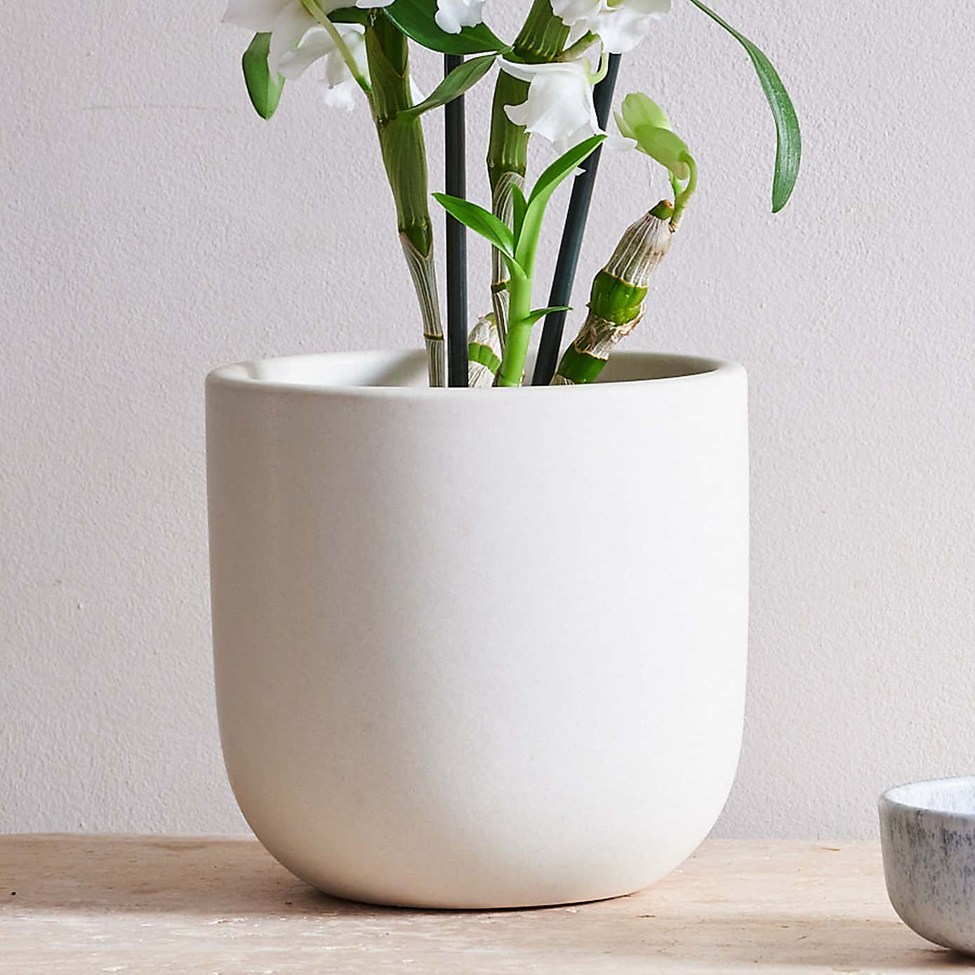 Beards and Daisies Earthenware Plant Pot