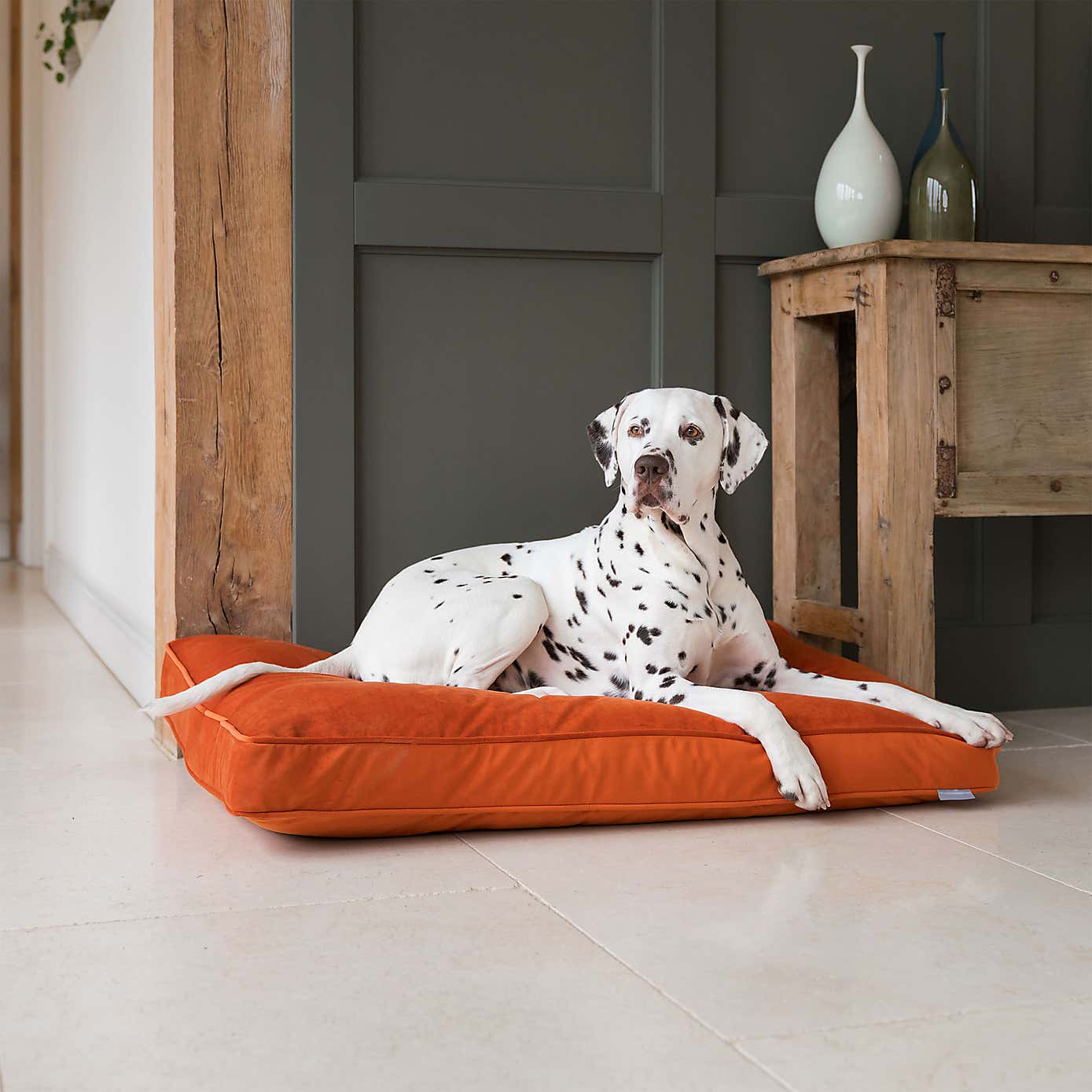 Lords and Labradors Velvet Dog Cushion