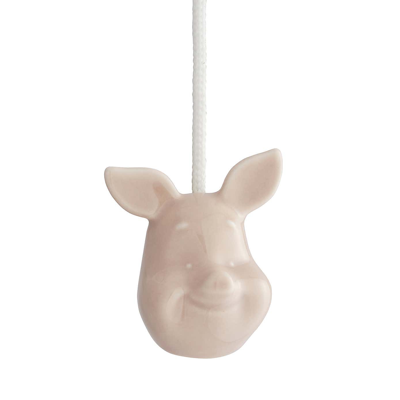 Disney Winnie the Pooh Piglet Head Light Pull