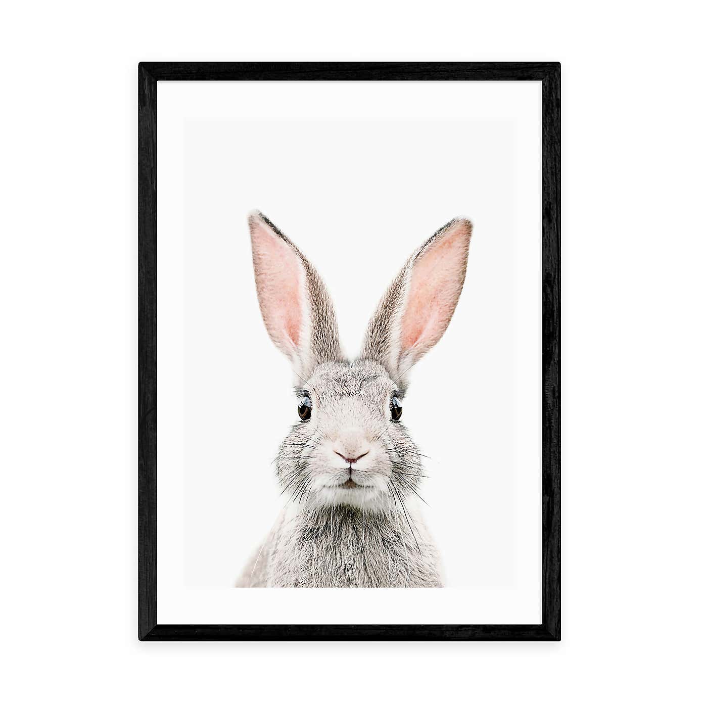 East End Prints Baby Bunny Print
