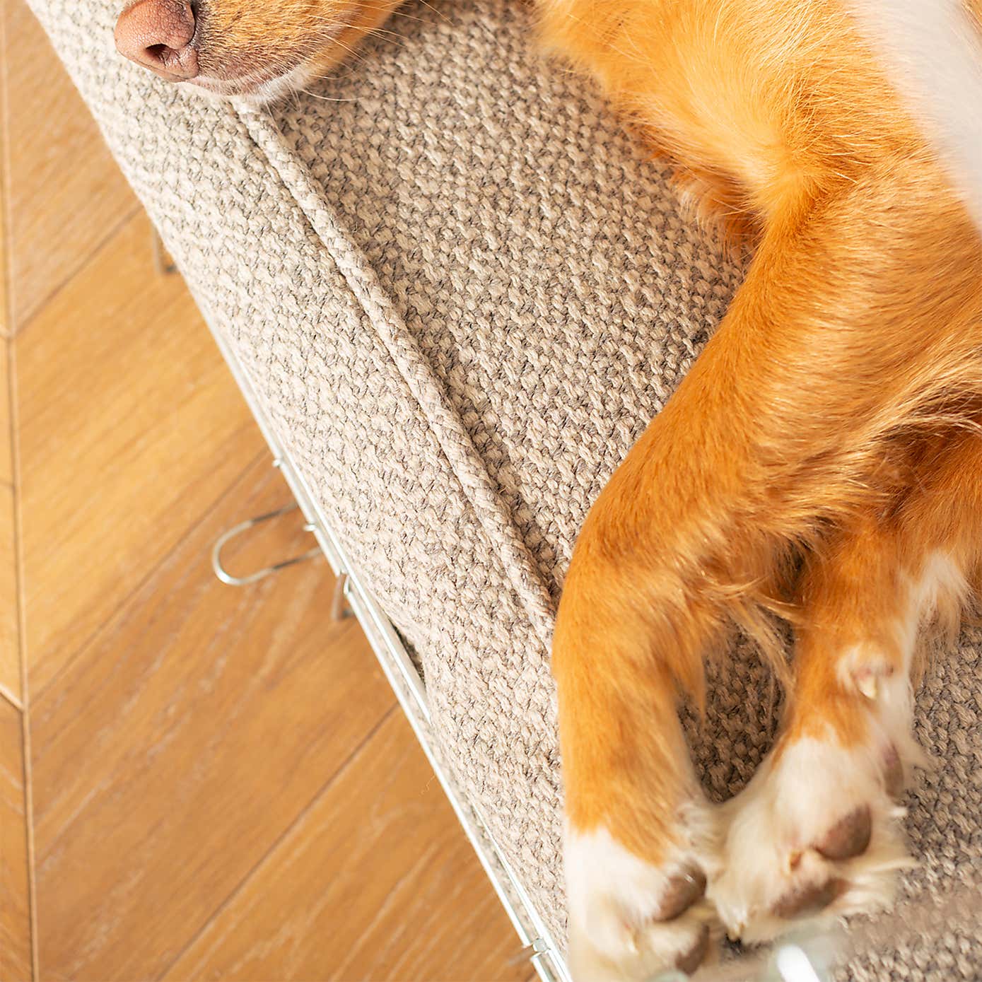 Lords and Labradors Herdwick Dog Cushion