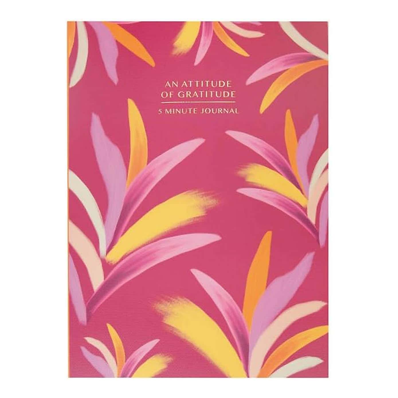 Flawsome Gratitude in 5 Minutes Book