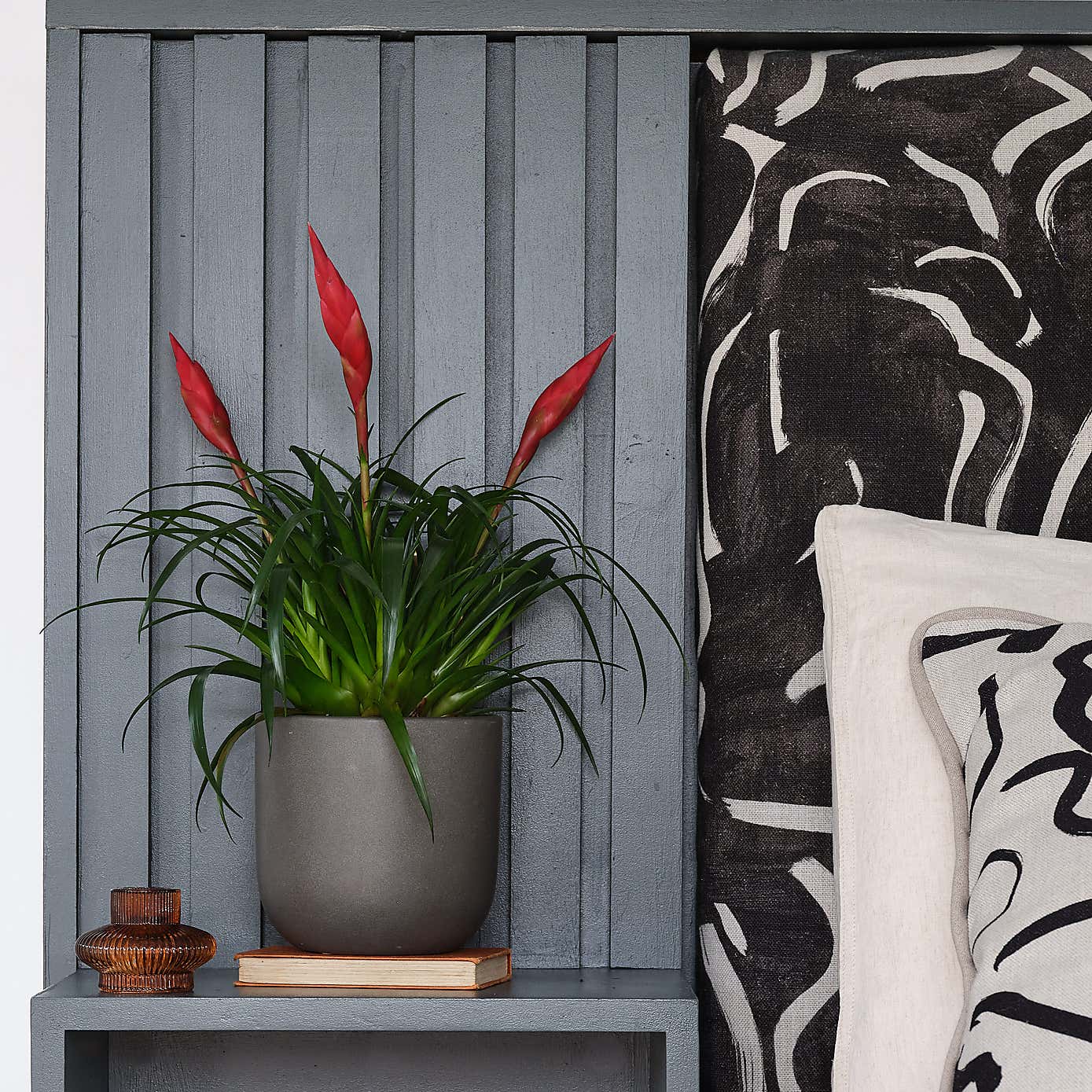 Beards and Daisies Earthenware Plant Pot