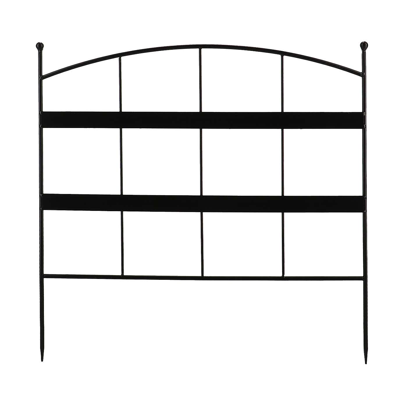 Fallen Fruits Modern Border Edge