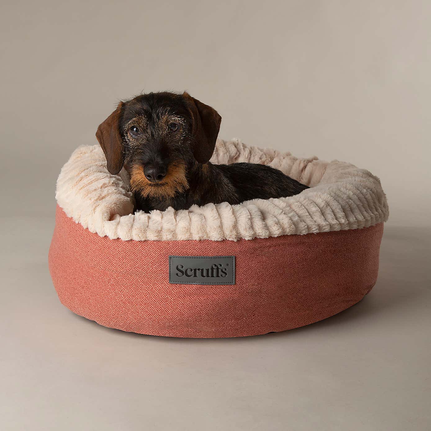 Scruffs Ellen Donut Pet Bed
