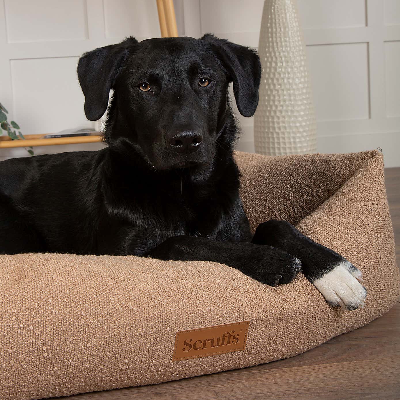 Scruffs Boucle Box Bed