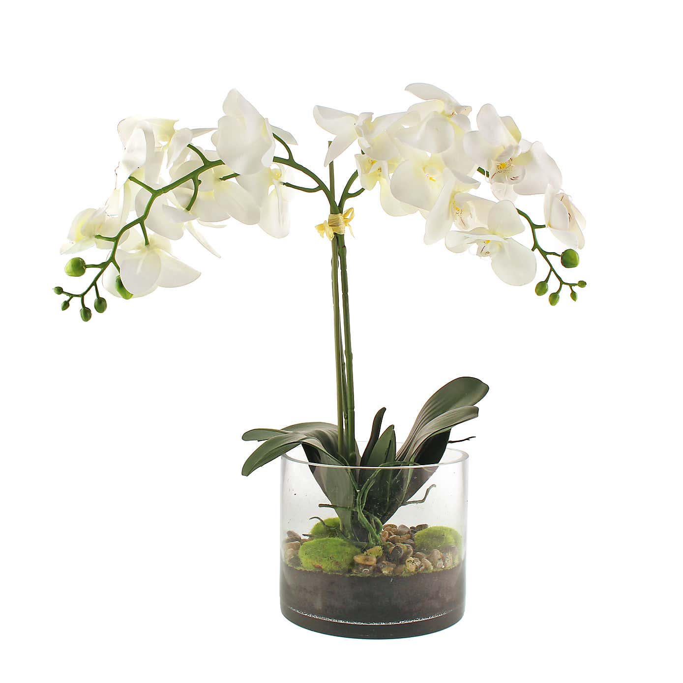 Dorma Artificial Cream Orchid in Glass Plant Pot
