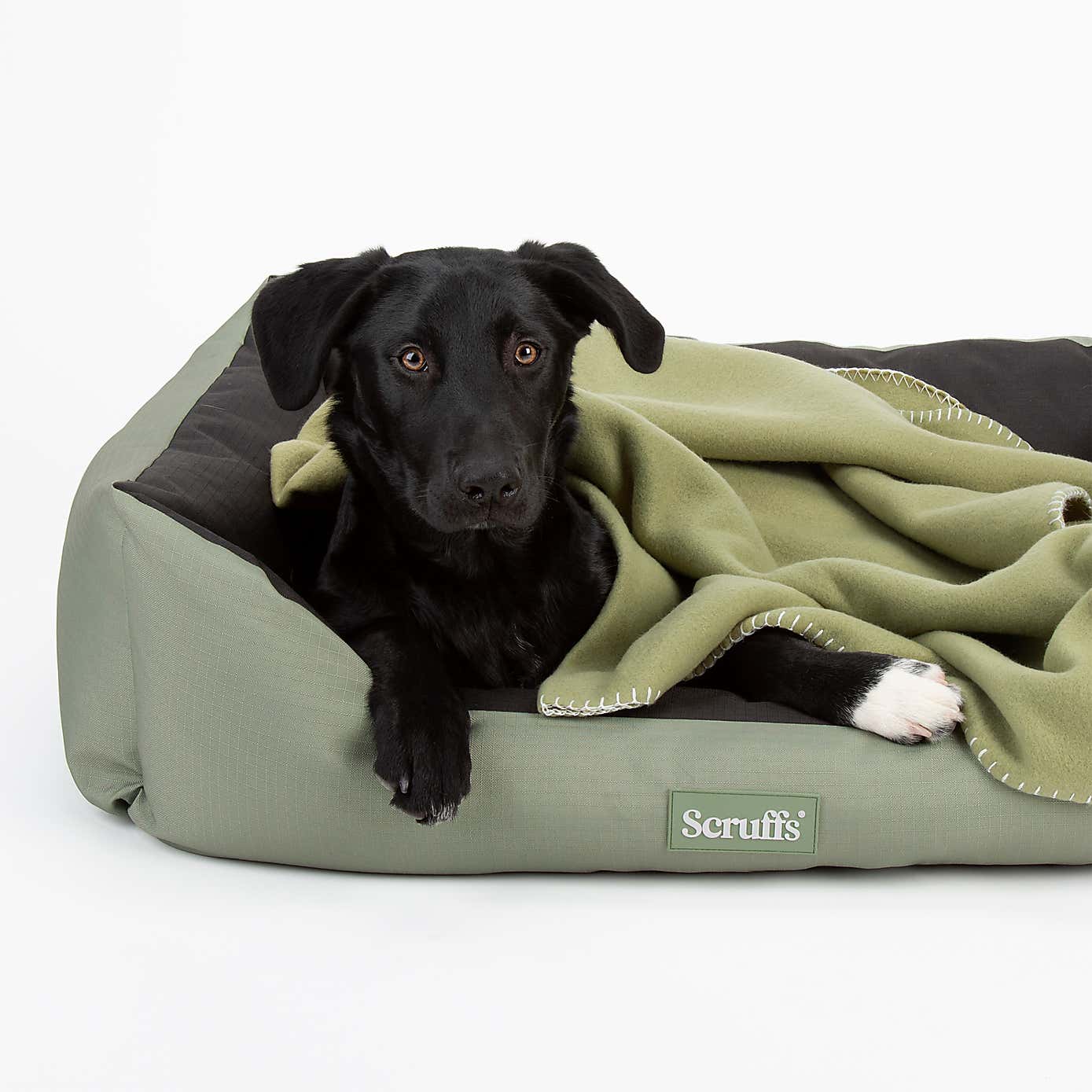 Scruffs Expedition Box Bed